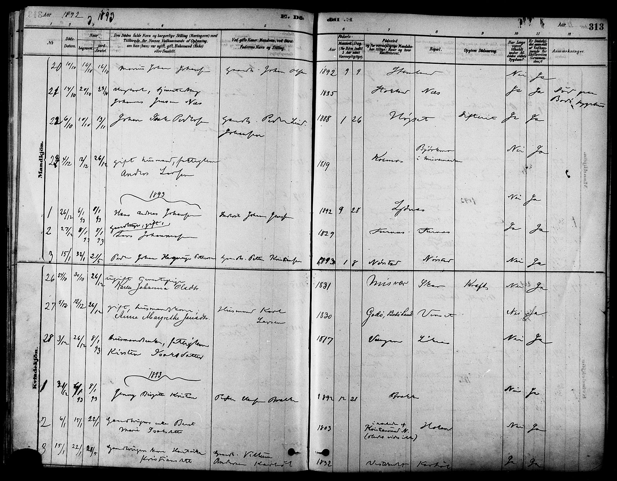 Ministerialprotokoller, klokkerbøker og fødselsregistre - Nordland, AV/SAT-A-1459/852/L0740: Parish register (official) no. 852A10, 1878-1894, p. 313