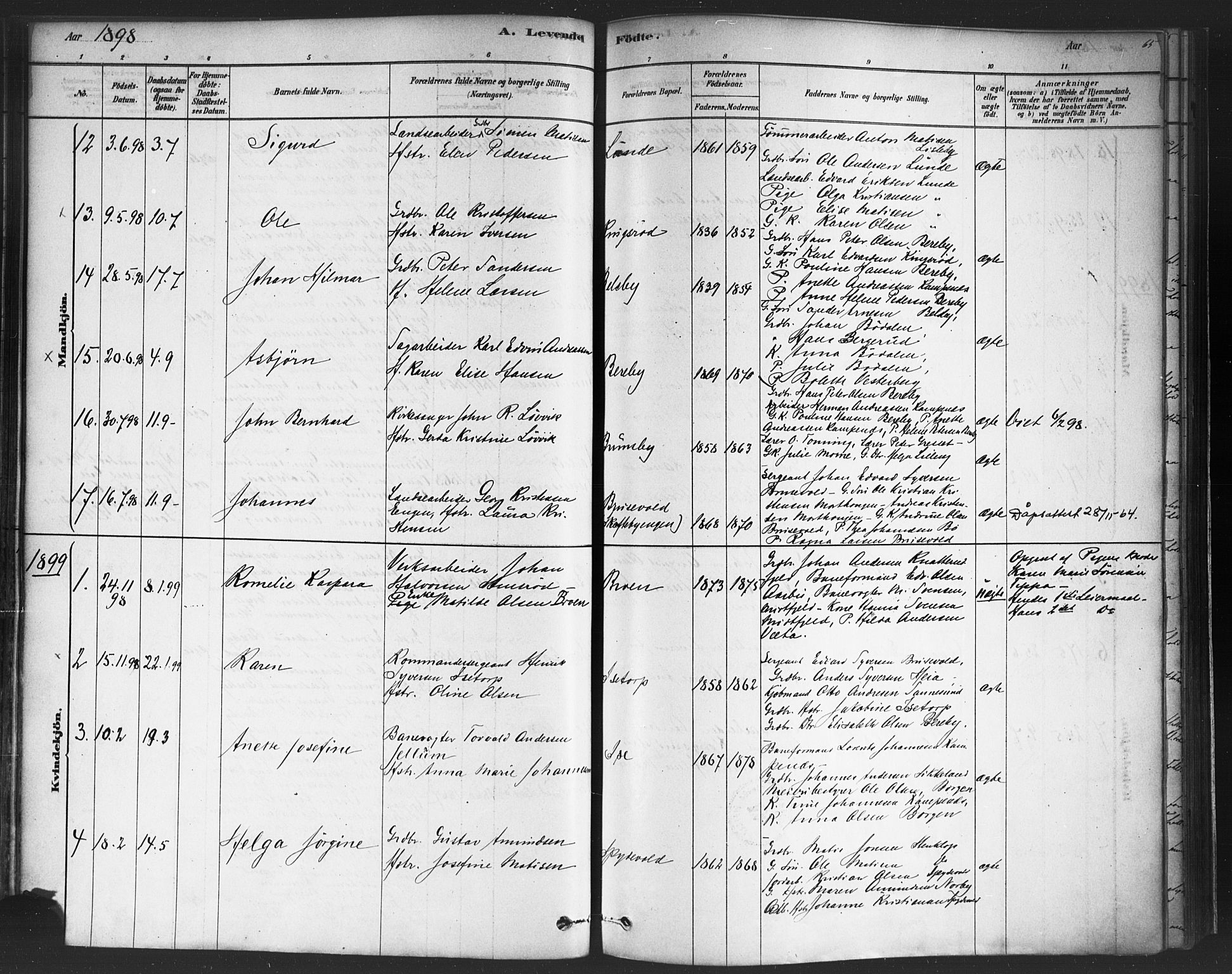 Varteig prestekontor Kirkebøker, SAO/A-10447a/F/Fa/L0002: Parish register (official) no. 2, 1878-1899, p. 65