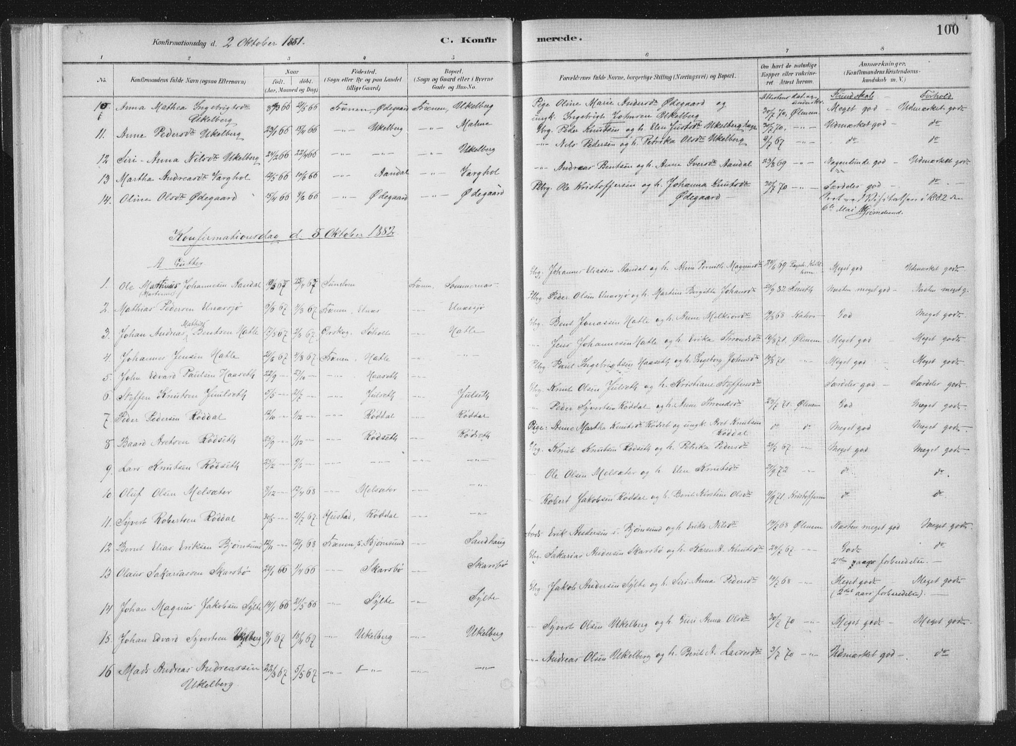 Ministerialprotokoller, klokkerbøker og fødselsregistre - Møre og Romsdal, AV/SAT-A-1454/564/L0740: Parish register (official) no. 564A01, 1880-1899, p. 100