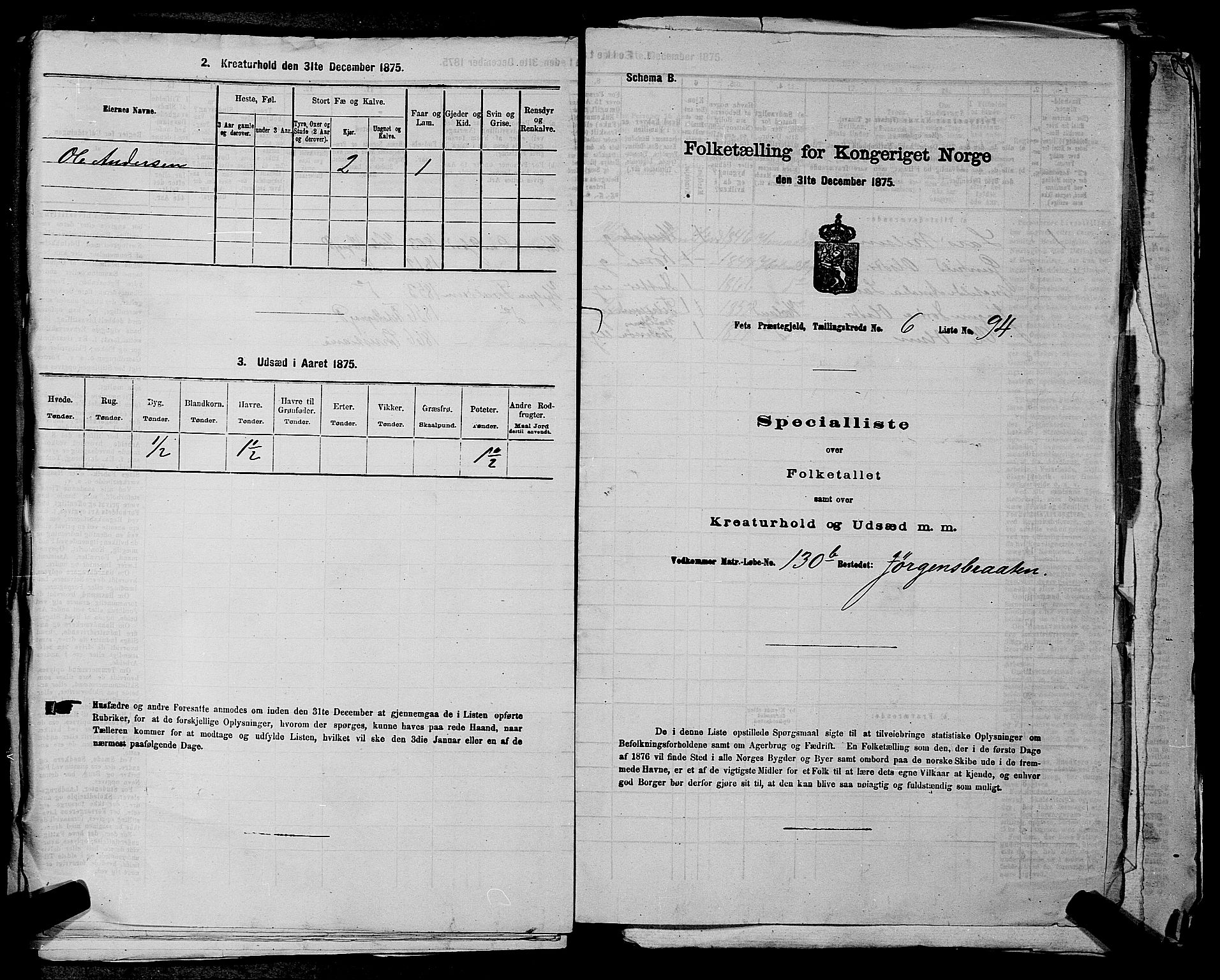 RA, 1875 census for 0227P Fet, 1875, p. 989