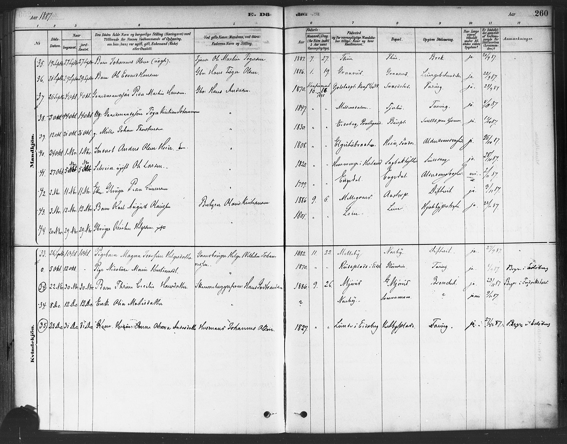 Rakkestad prestekontor Kirkebøker, AV/SAO-A-2008/F/Fa/L0012: Parish register (official) no. I 12, 1878-1893, p. 260