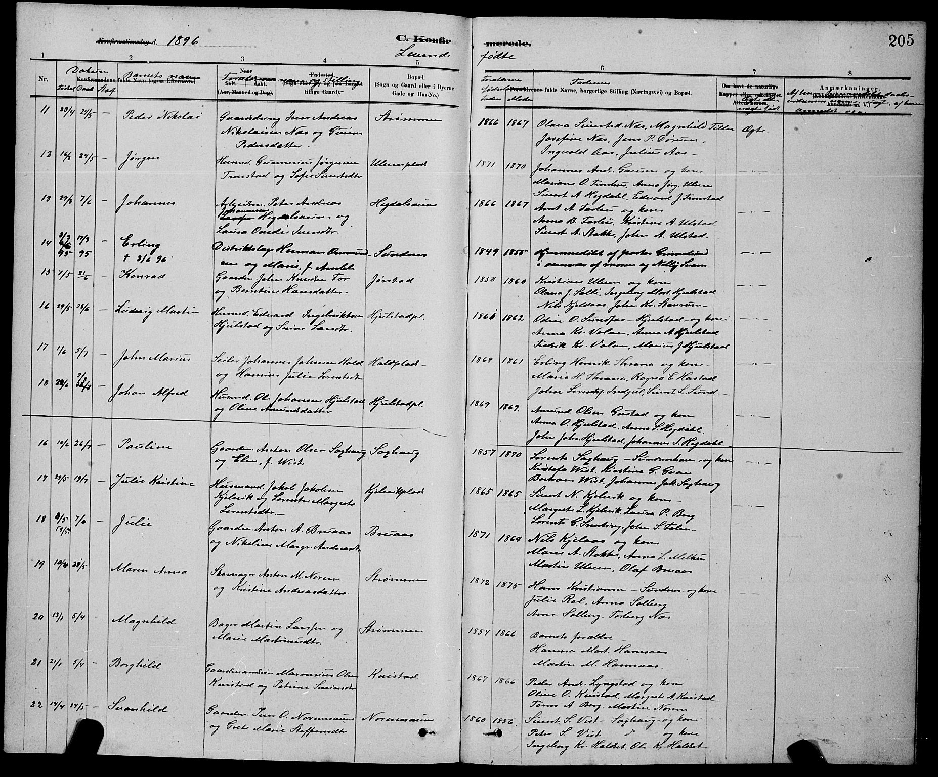 Ministerialprotokoller, klokkerbøker og fødselsregistre - Nord-Trøndelag, SAT/A-1458/730/L0301: Parish register (copy) no. 730C04, 1880-1897, p. 205