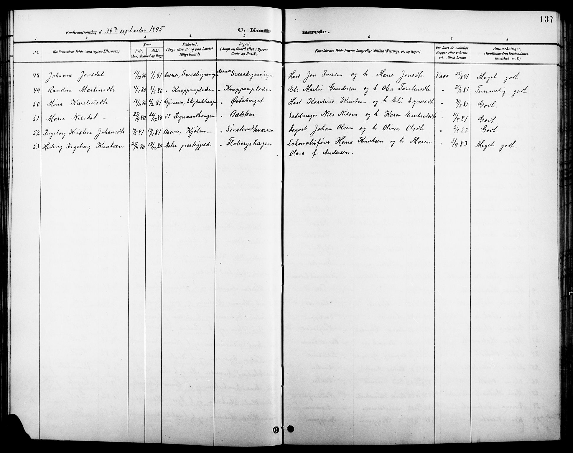 Åsnes prestekontor, SAH/PREST-042/H/Ha/Hab/L0004: Parish register (copy) no. 4, 1895-1909, p. 137