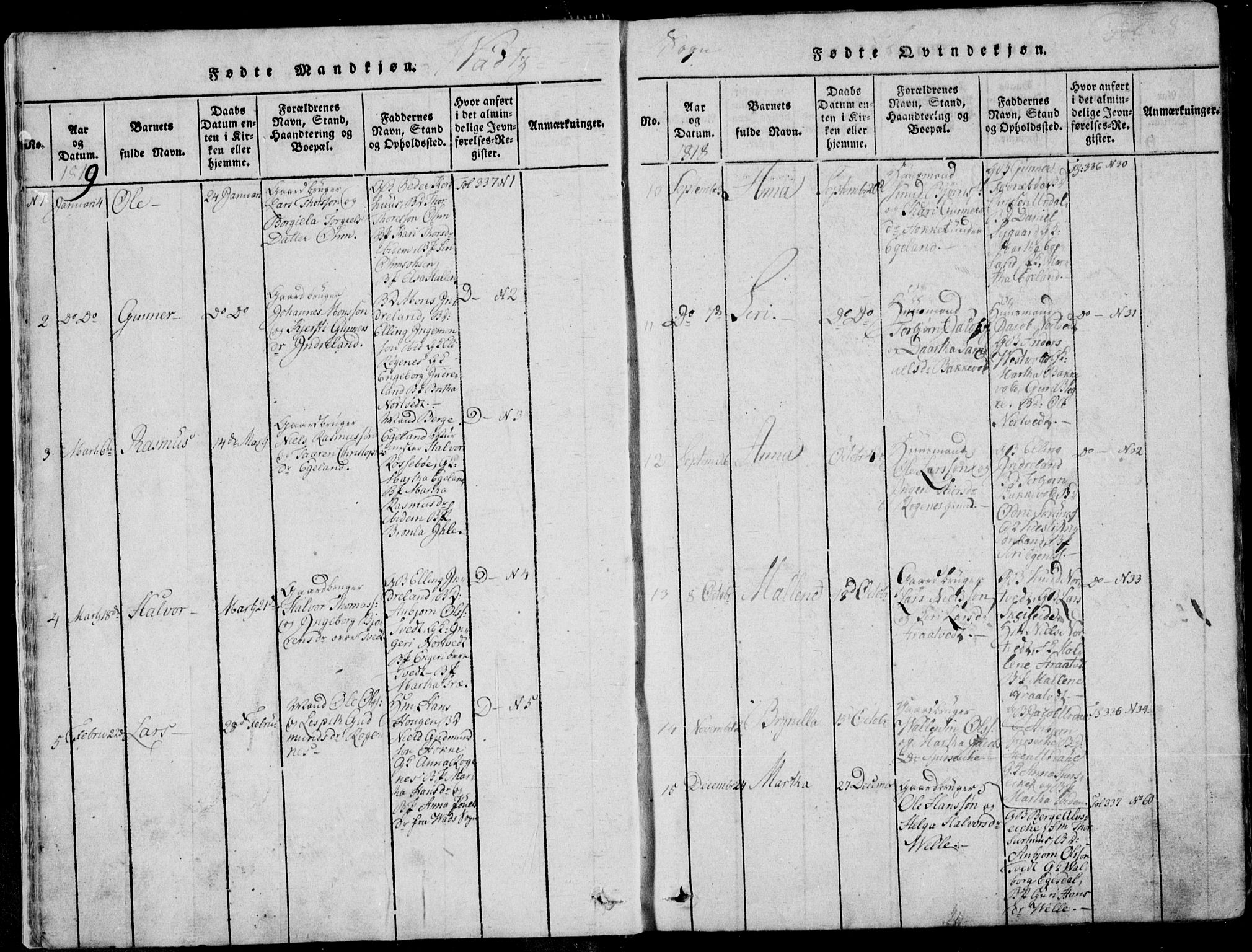 Skjold sokneprestkontor, SAST/A-101847/H/Ha/Haa/L0004: Parish register (official) no. A 4 /2, 1815-1830, p. 8