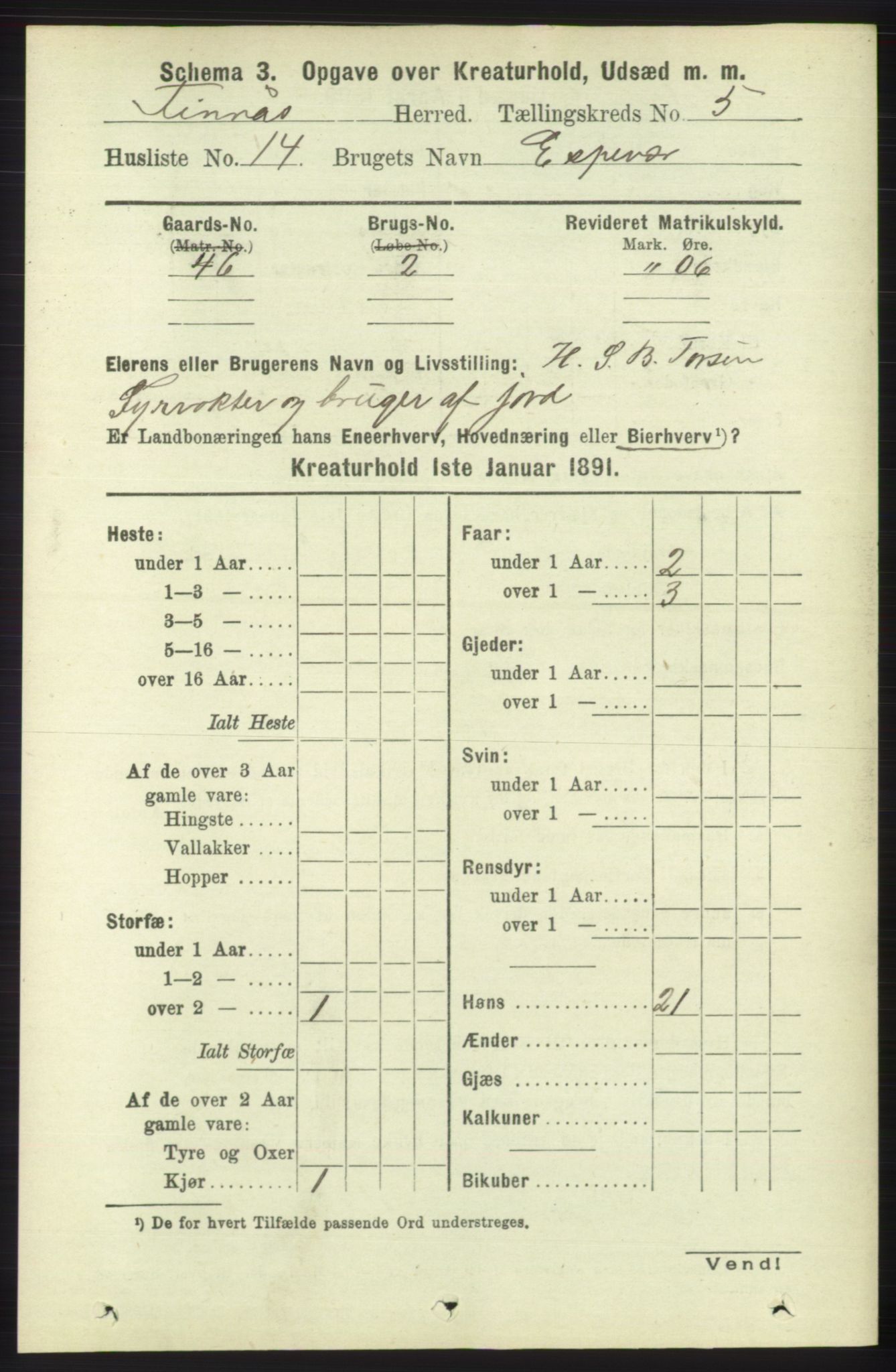 RA, 1891 census for 1218 Finnås, 1891, p. 6619