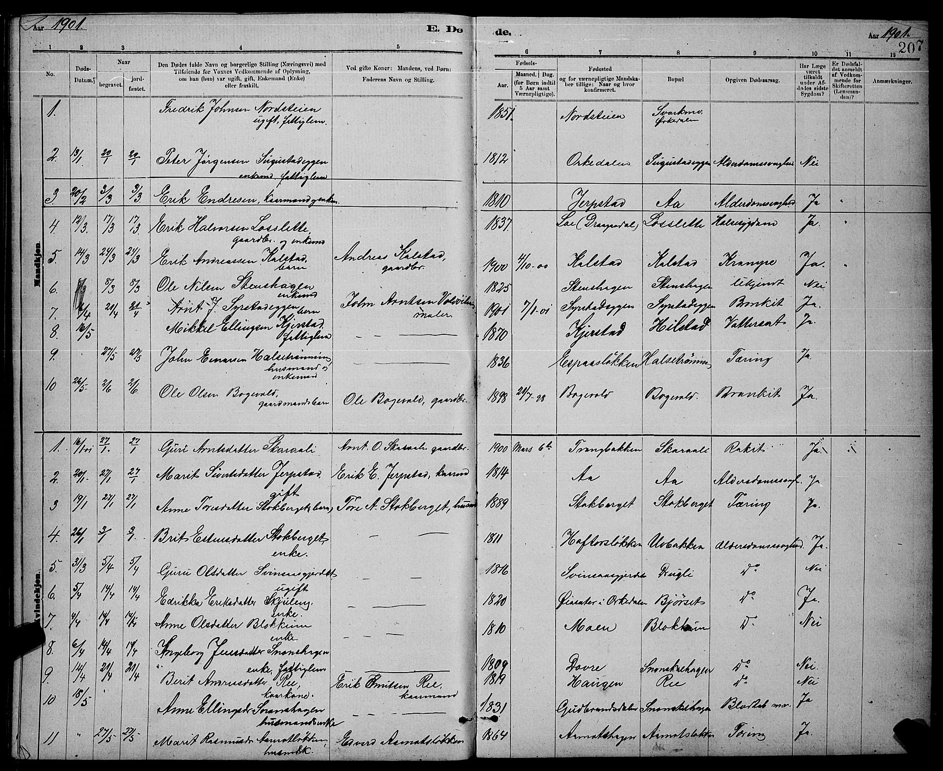 Ministerialprotokoller, klokkerbøker og fødselsregistre - Sør-Trøndelag, SAT/A-1456/672/L0863: Parish register (copy) no. 672C02, 1888-1901, p. 207