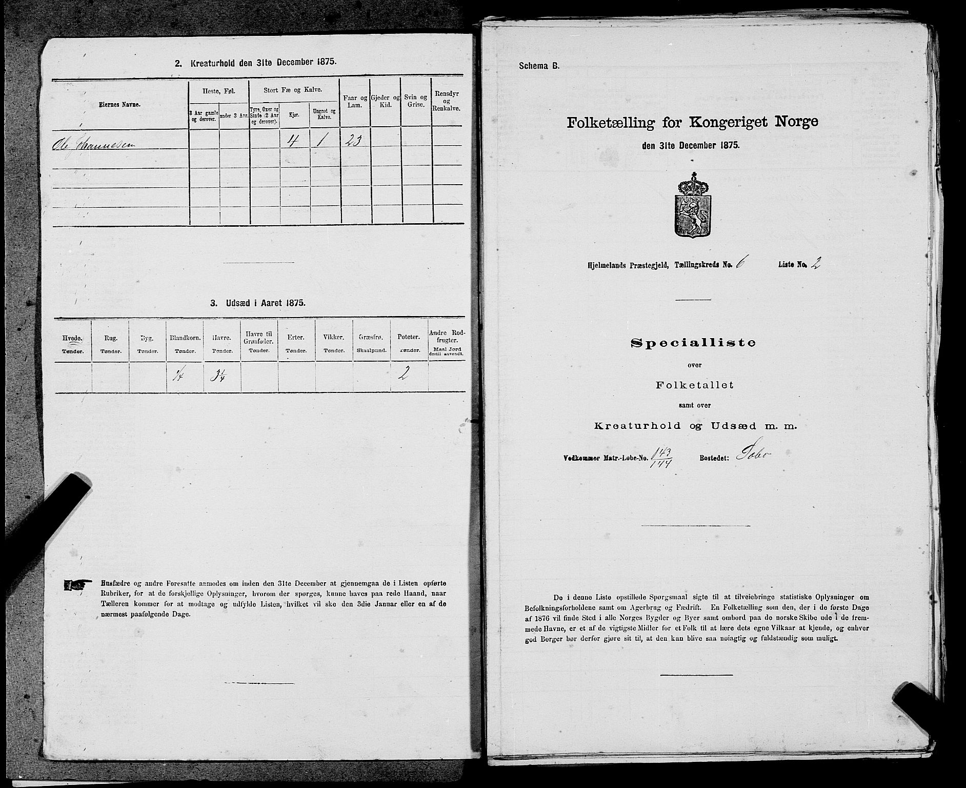 SAST, 1875 census for 1133P Hjelmeland, 1875, p. 685