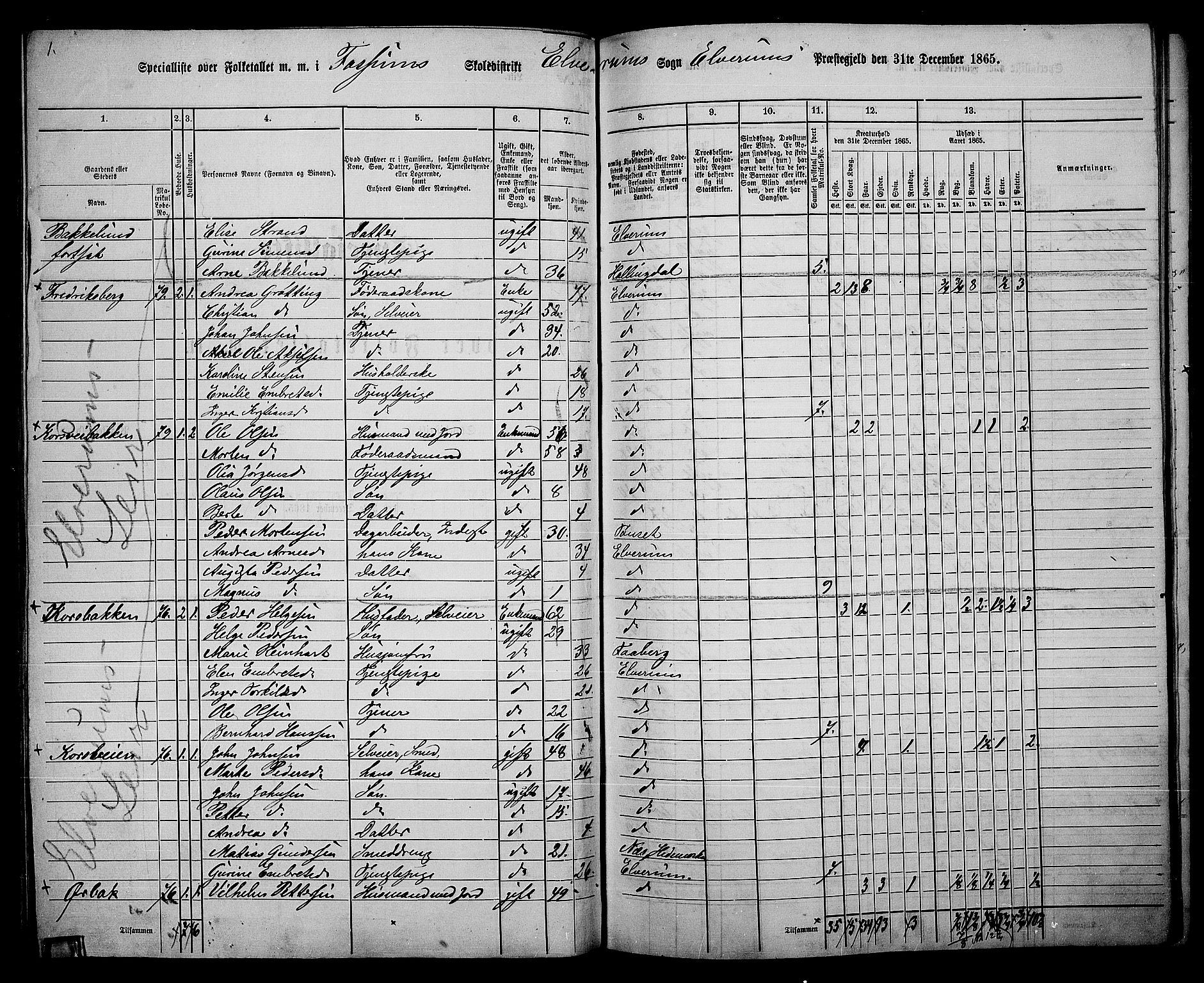 RA, 1865 census for Elverum, 1865, p. 113