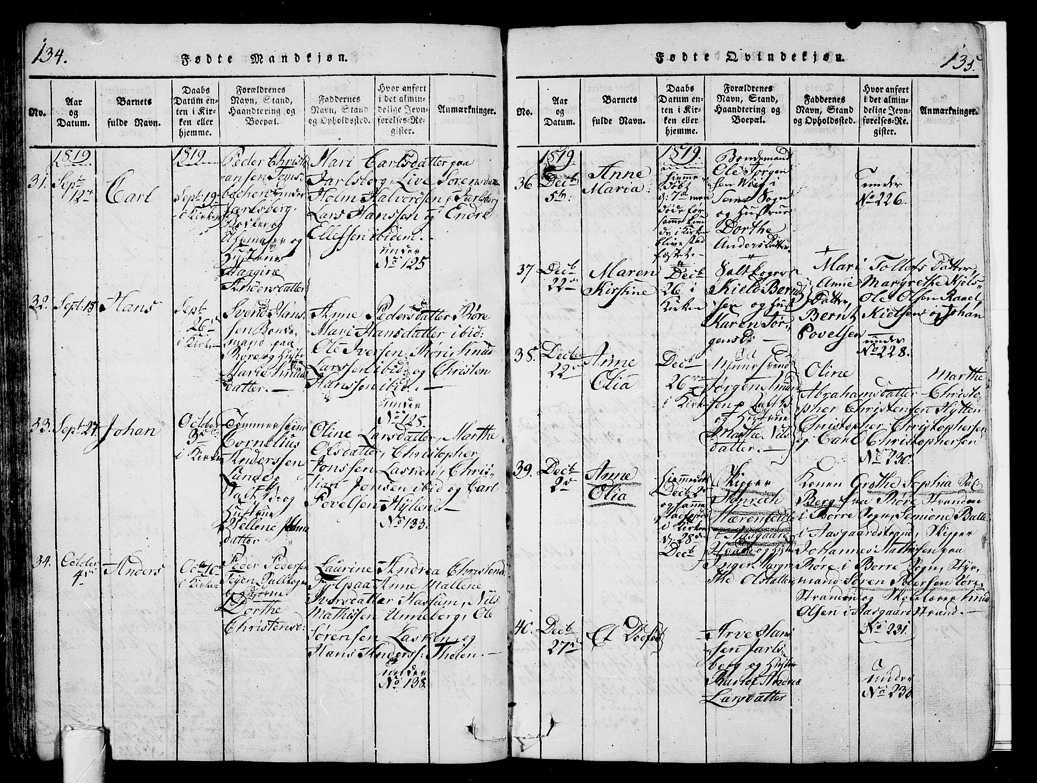 Sem kirkebøker, AV/SAKO-A-5/G/Ga/L0001: Parish register (copy) no. I 1, 1814-1825, p. 134-135