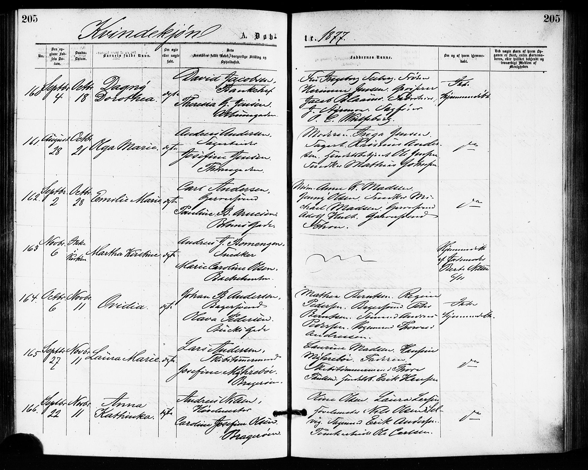 Bragernes kirkebøker, SAKO/A-6/F/Fb/L0005: Parish register (official) no. II 5, 1875-1877, p. 205