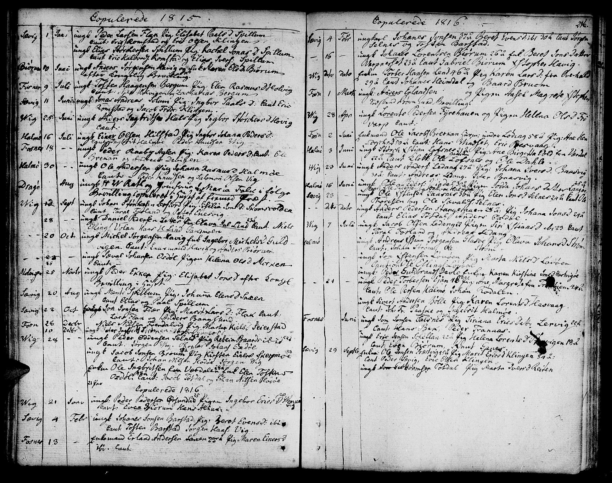 Ministerialprotokoller, klokkerbøker og fødselsregistre - Nord-Trøndelag, SAT/A-1458/773/L0608: Parish register (official) no. 773A02, 1784-1816, p. 216