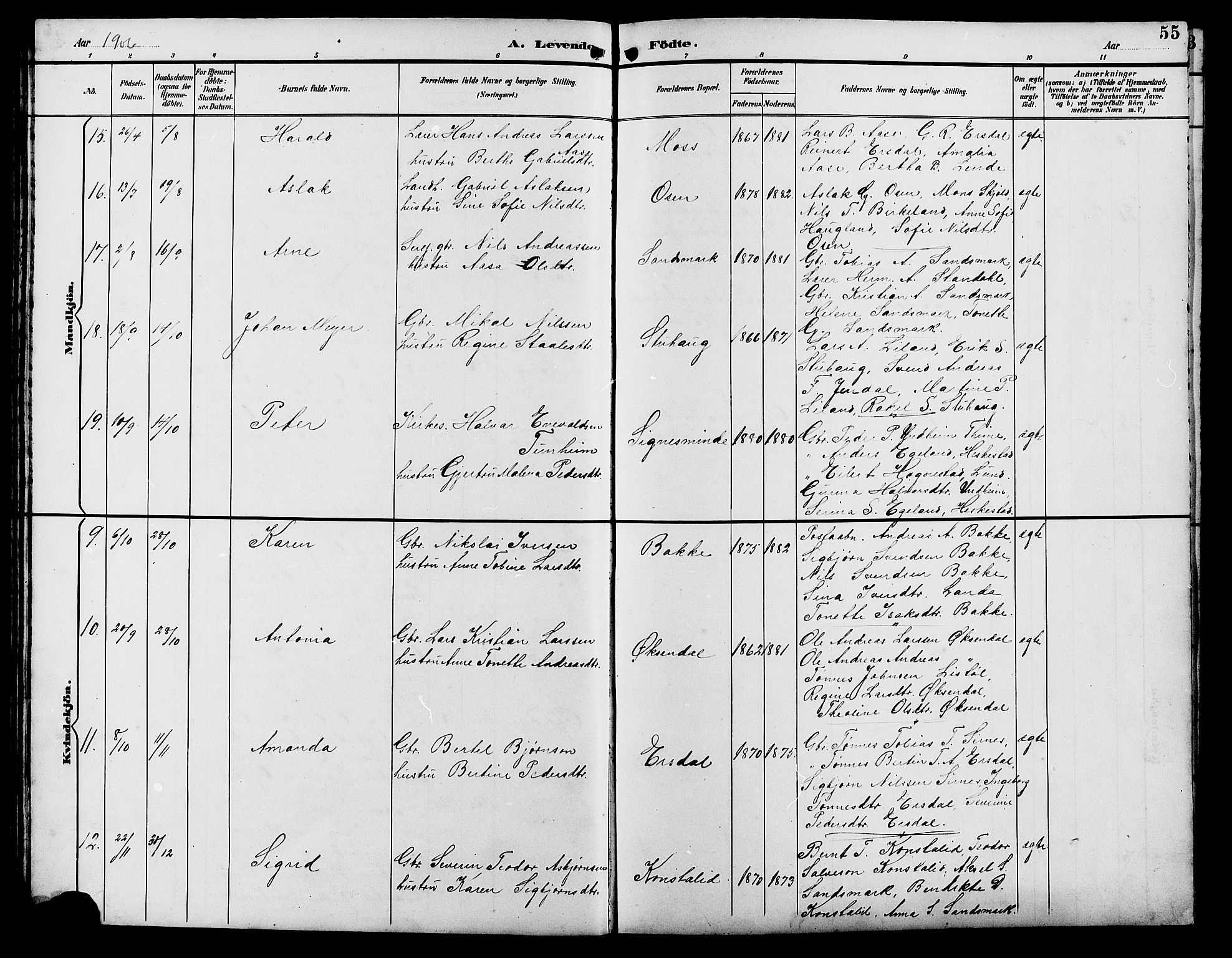 Bakke sokneprestkontor, AV/SAK-1111-0002/F/Fb/Fba/L0003: Parish register (copy) no. B 3, 1894-1910, p. 55