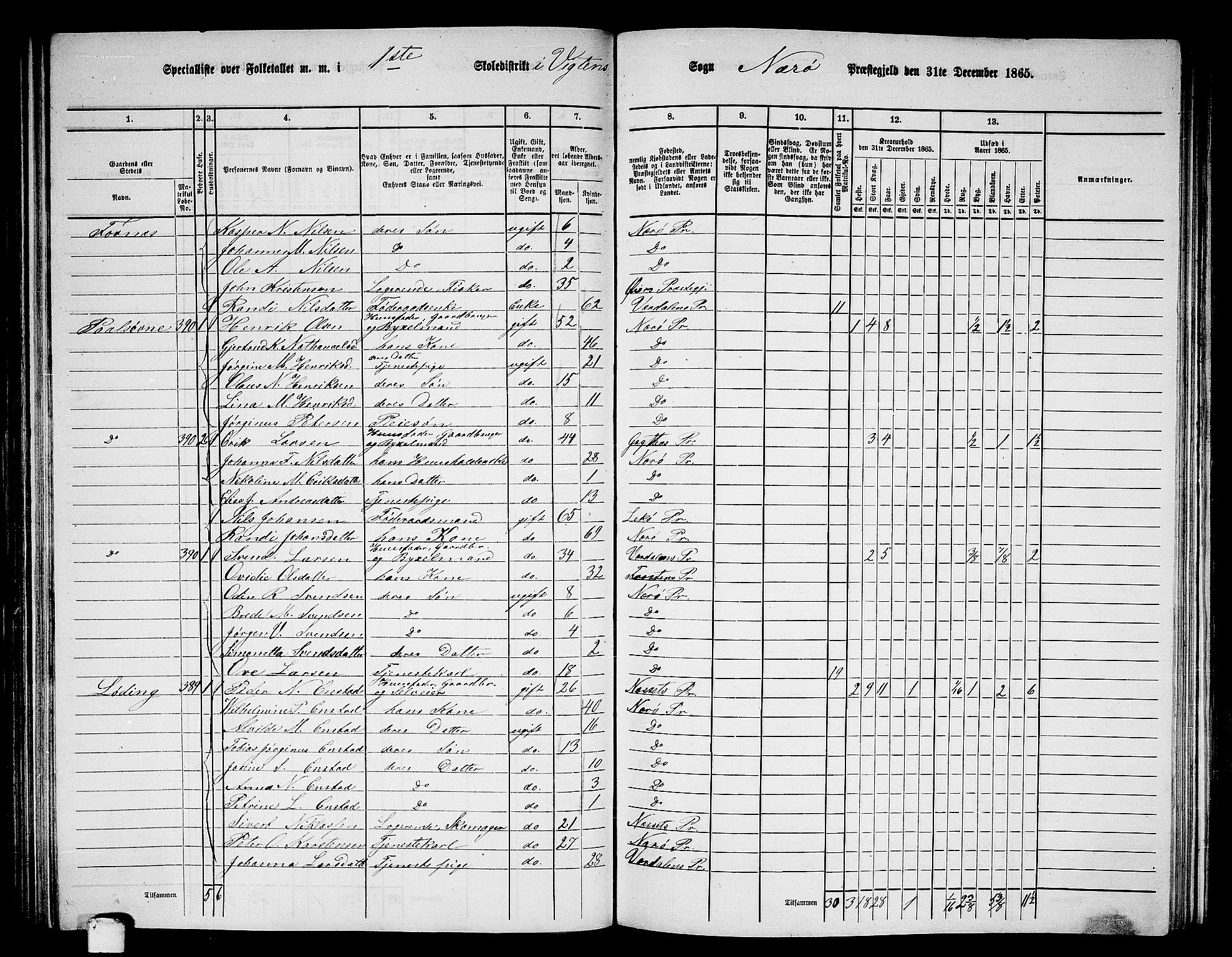 RA, 1865 census for Nærøy, 1865, p. 88