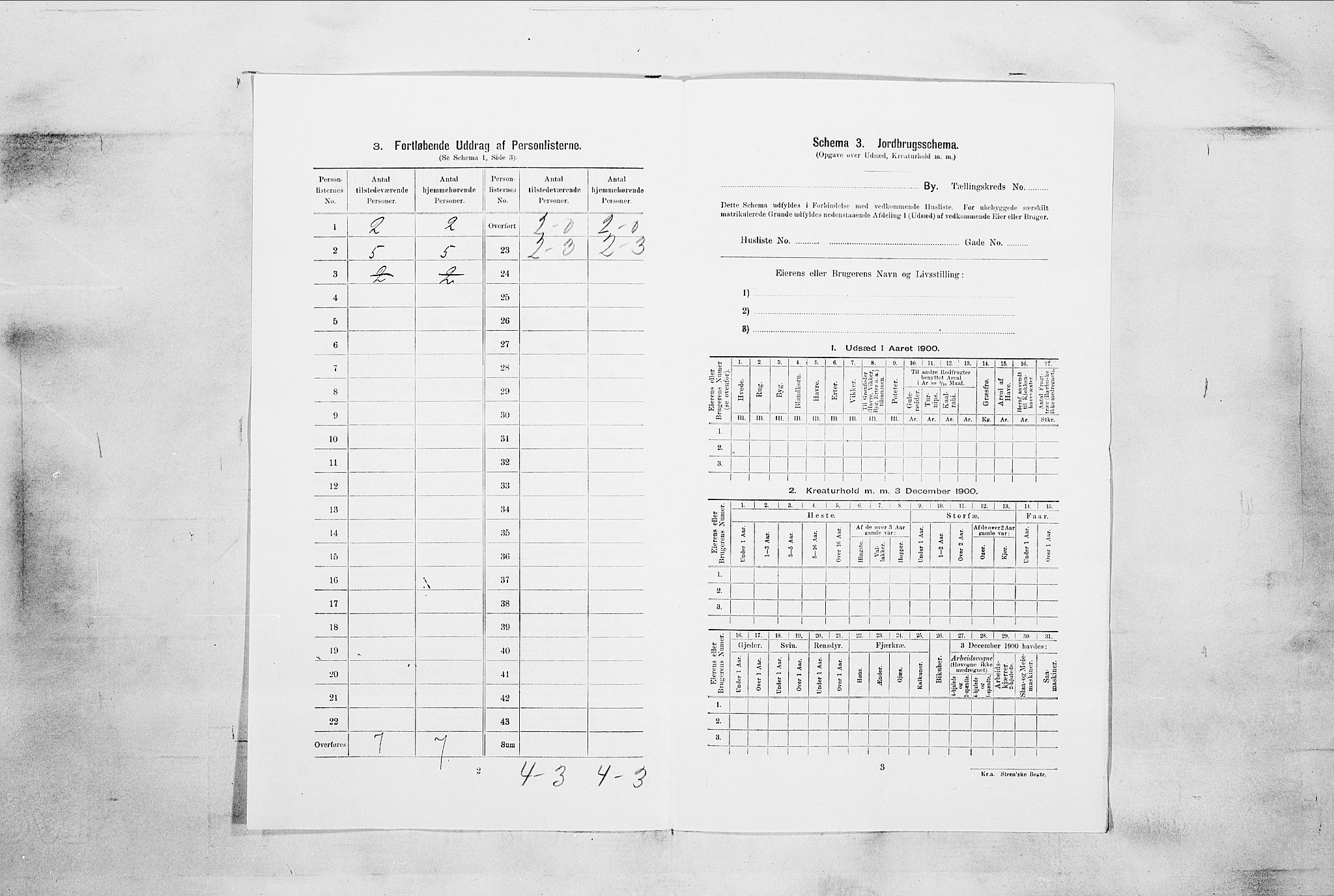RA, 1900 census for Horten, 1900, p. 4461