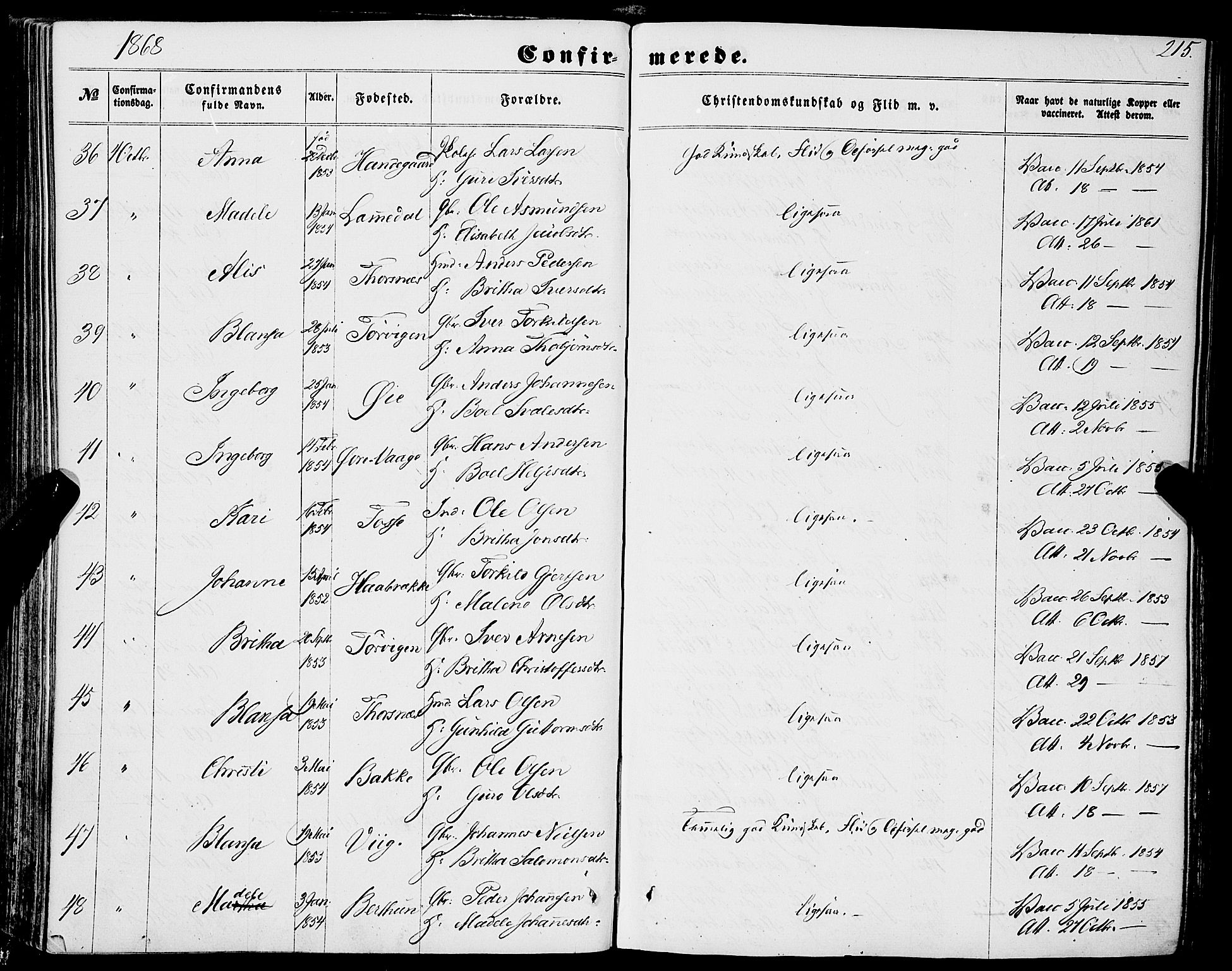 Strandebarm sokneprestembete, AV/SAB-A-78401/H/Haa: Parish register (official) no. A 8, 1858-1872, p. 215