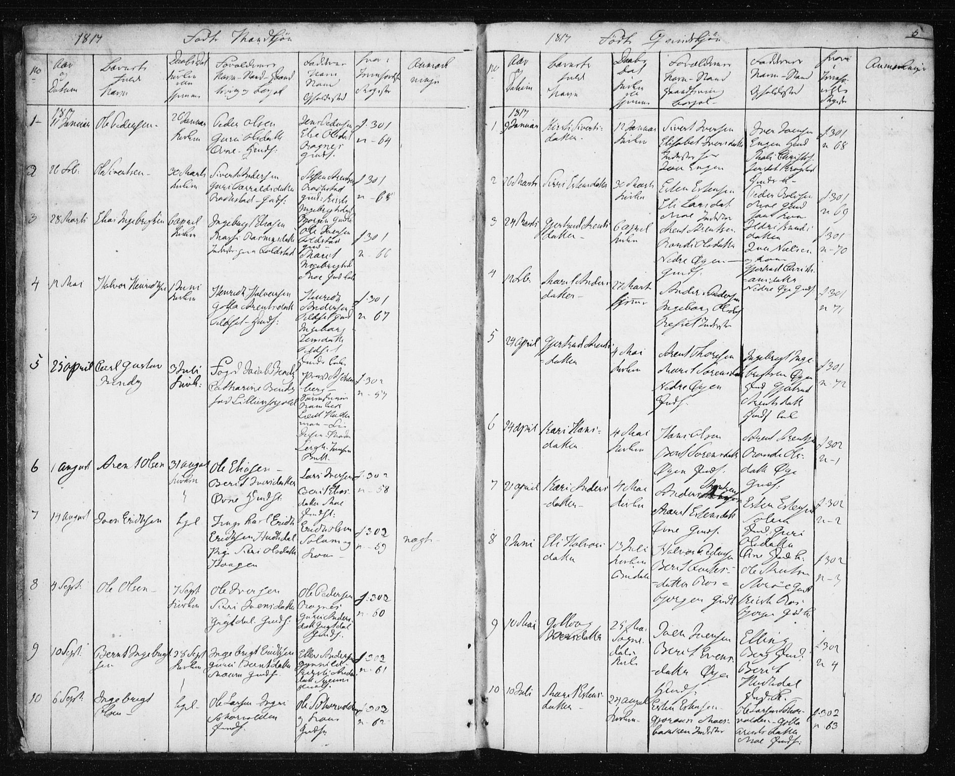Ministerialprotokoller, klokkerbøker og fødselsregistre - Sør-Trøndelag, SAT/A-1456/687/L1017: Parish register (copy) no. 687C01, 1816-1837, p. 5