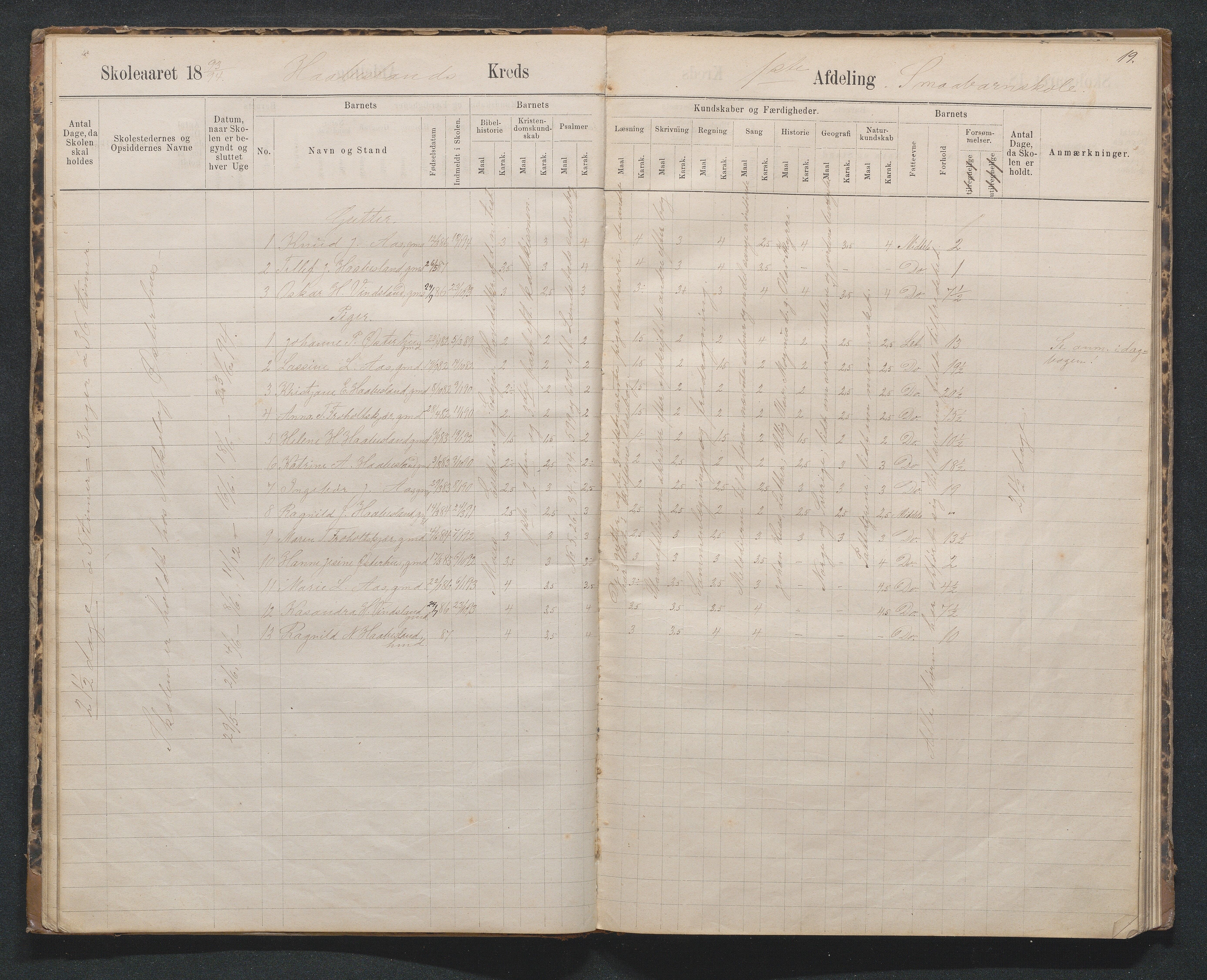 Birkenes kommune, Håbesland, Holte og Rislå skolekretser frem til 1991, AAKS/KA0928-550c_91/F02/L0002: Skoleprotokoll Håbesland, Holte og Rislå, 1888-1917, p. 19