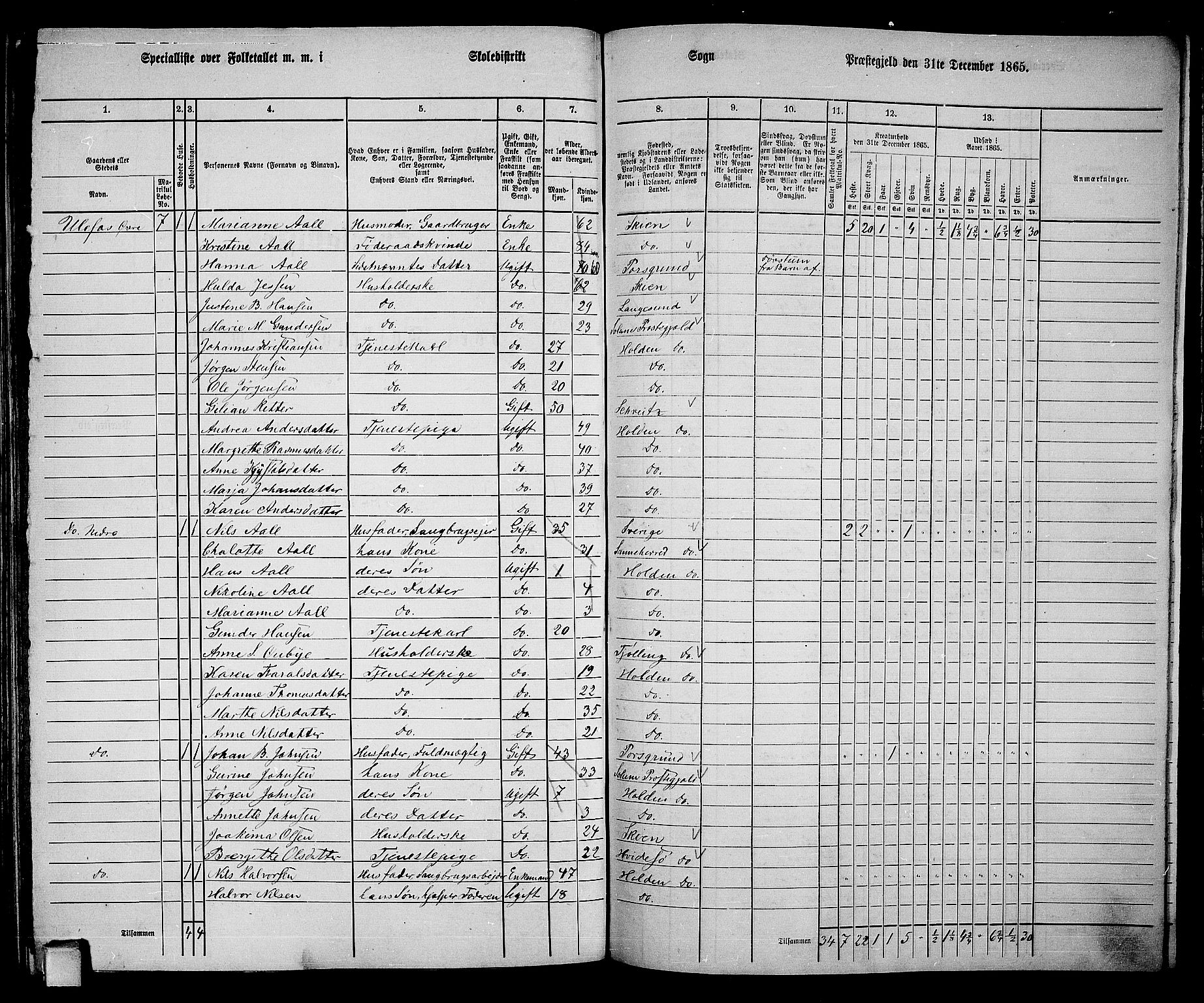 RA, 1865 census for Holla, 1865, p. 133