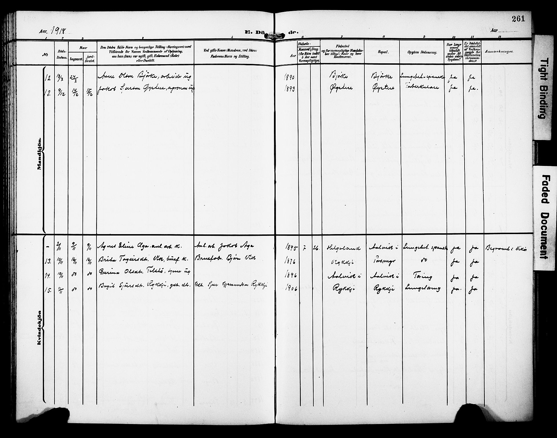 Kvam sokneprestembete, AV/SAB-A-76201/H/Hab: Parish register (copy) no. C 4, 1906-1931, p. 261