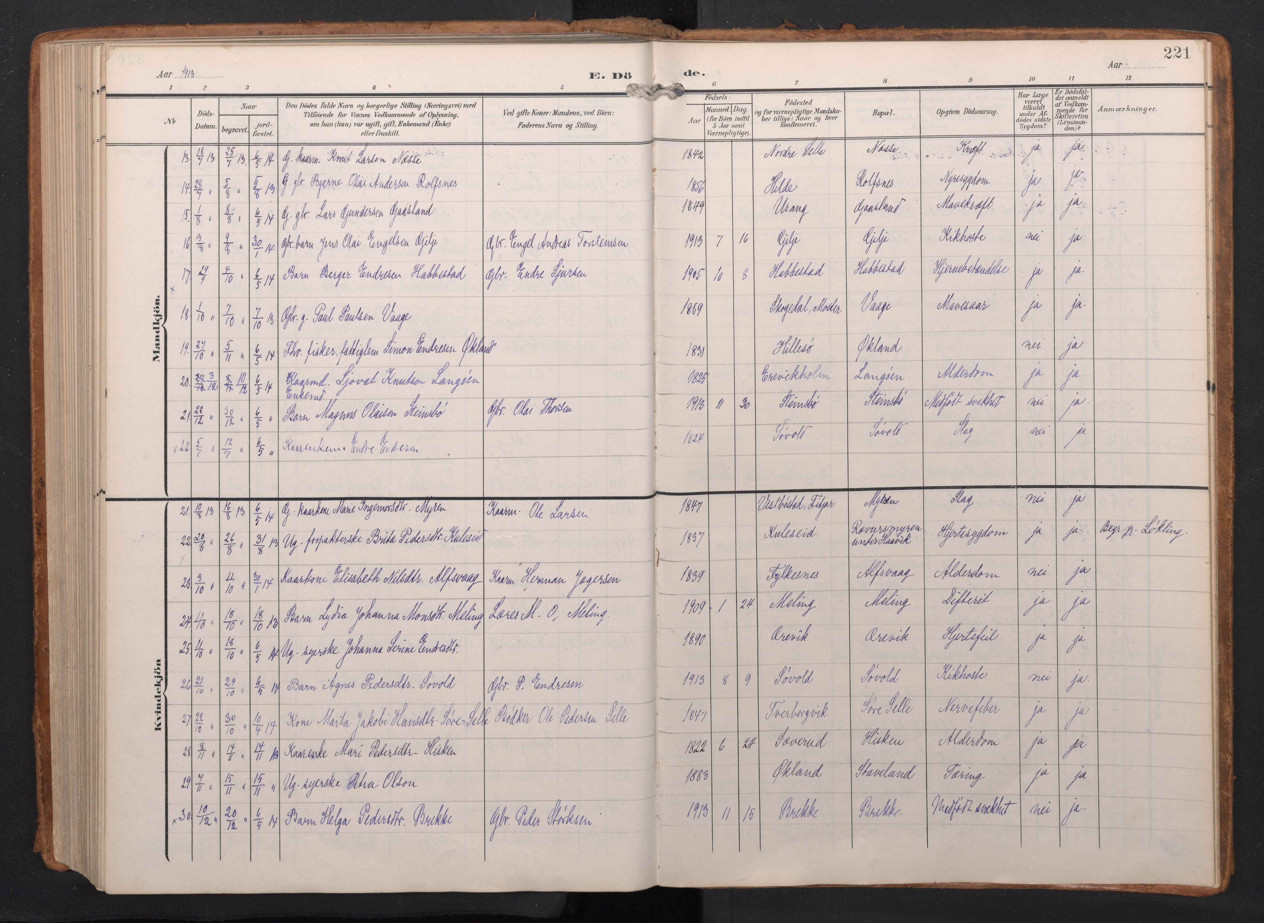 Finnås sokneprestembete, AV/SAB-A-99925/H/Ha/Haa/Haac/L0003: Parish register (official) no. C 3, 1905-1917, p. 221