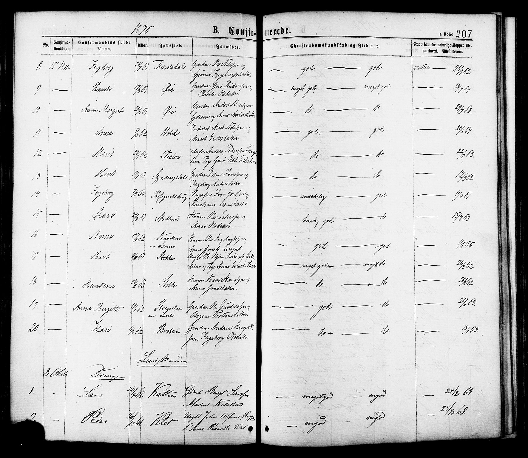 Ministerialprotokoller, klokkerbøker og fødselsregistre - Sør-Trøndelag, AV/SAT-A-1456/691/L1079: Parish register (official) no. 691A11, 1873-1886, p. 207