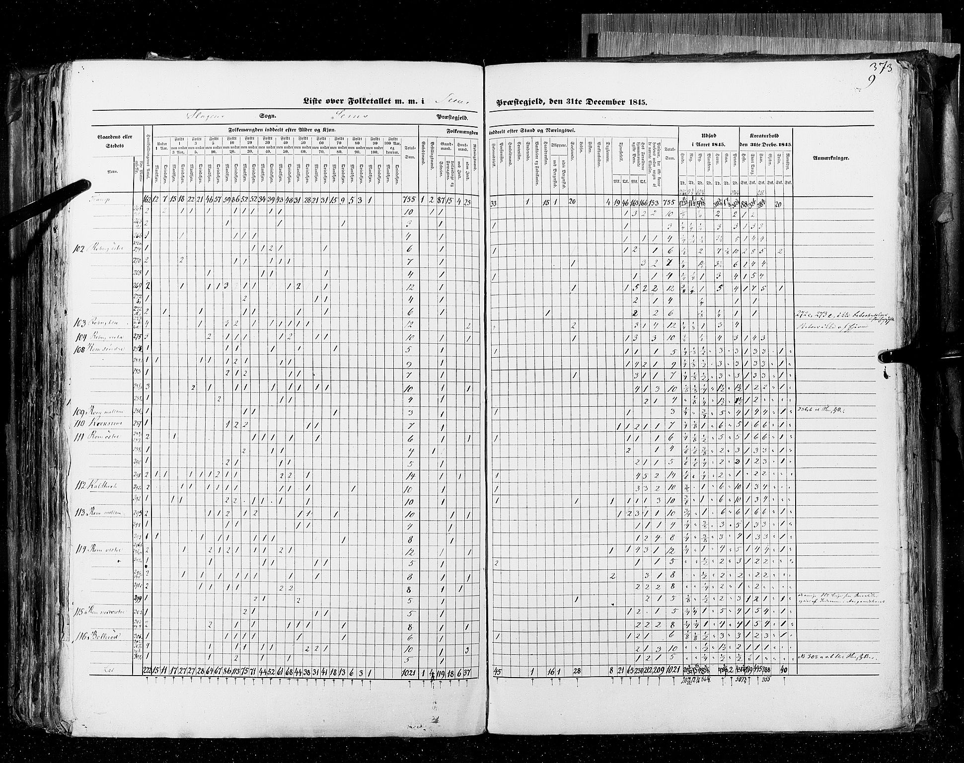 RA, Census 1845, vol. 4: Buskerud amt og Jarlsberg og Larvik amt, 1845, p. 373