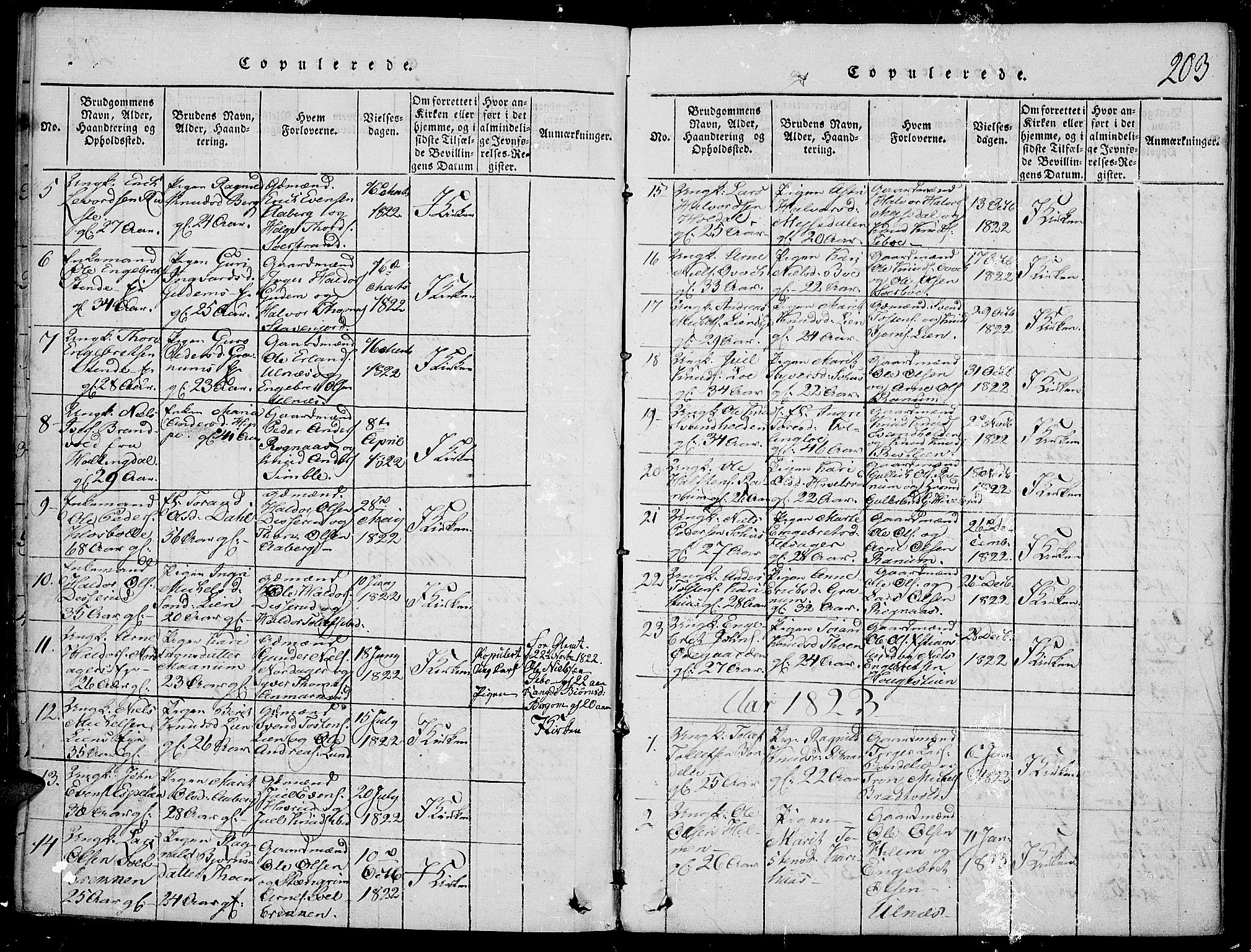 Nord-Aurdal prestekontor, SAH/PREST-132/H/Ha/Haa/L0002: Parish register (official) no. 2, 1816-1828, p. 203