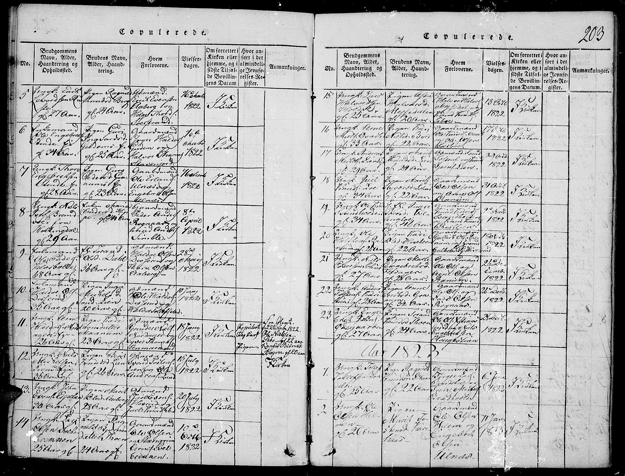 Nord-Aurdal prestekontor, AV/SAH-PREST-132/H/Ha/Haa/L0002: Parish register (official) no. 2, 1816-1828, p. 203