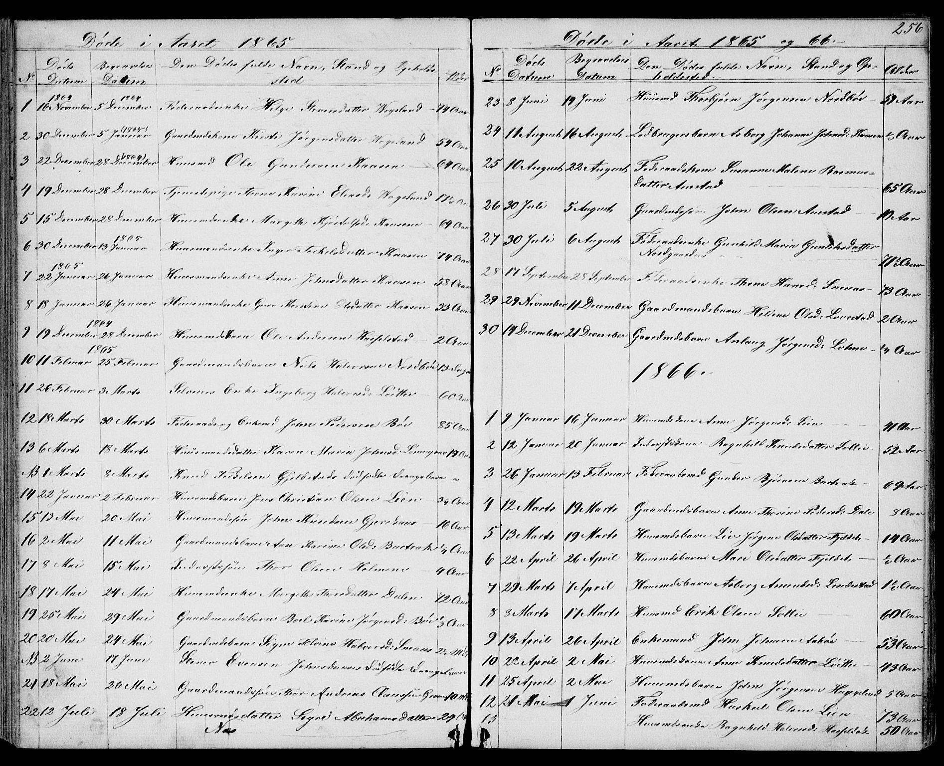 Drangedal kirkebøker, SAKO/A-258/G/Gb/L0001: Parish register (copy) no. II 1, 1856-1894, p. 256