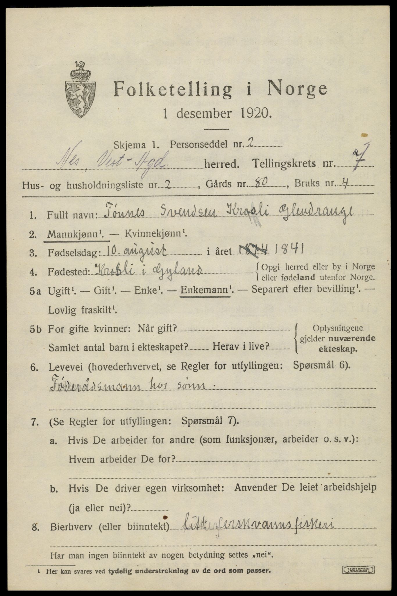 SAK, 1920 census for Nes (V-A), 1920, p. 3320