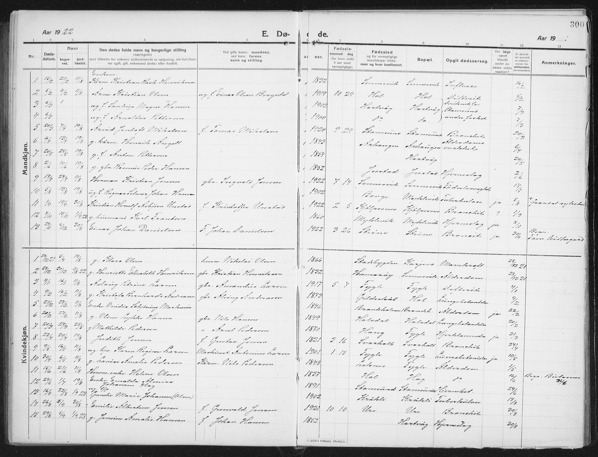Ministerialprotokoller, klokkerbøker og fødselsregistre - Nordland, AV/SAT-A-1459/882/L1183: Parish register (copy) no. 882C01, 1911-1938, p. 300