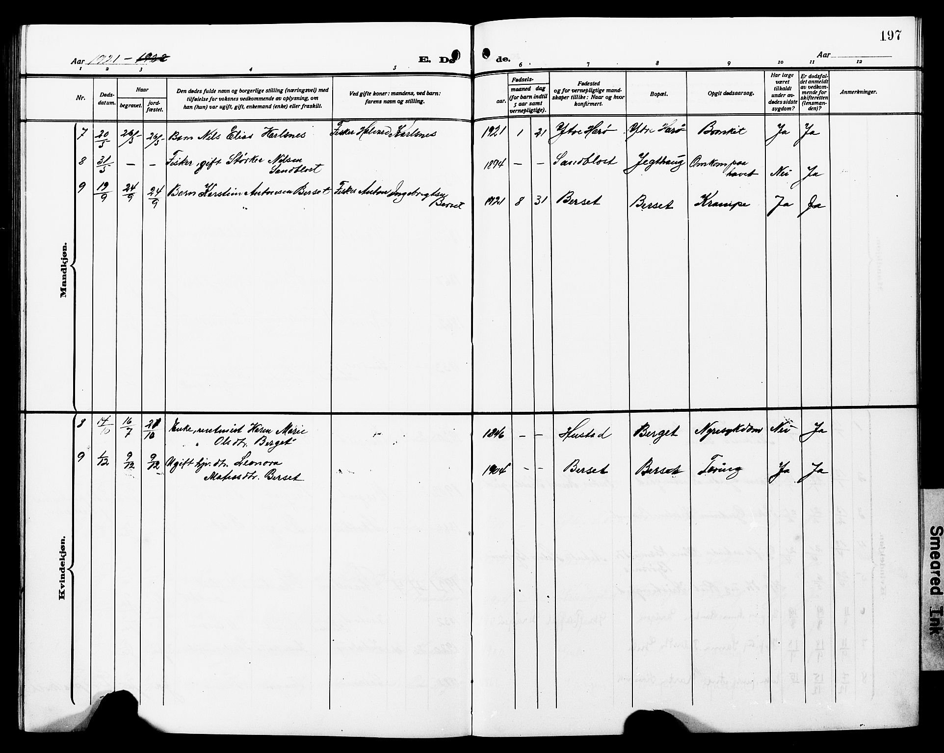 Ministerialprotokoller, klokkerbøker og fødselsregistre - Møre og Romsdal, SAT/A-1454/566/L0774: Parish register (copy) no. 566C03, 1910-1929, p. 197