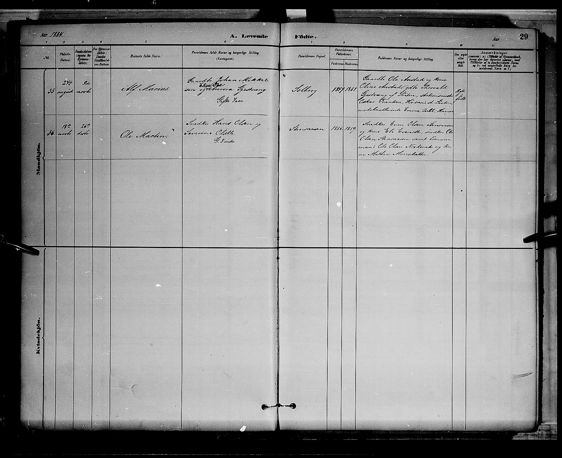 Stange prestekontor, AV/SAH-PREST-002/L/L0008: Parish register (copy) no. 8, 1882-1895, p. 29