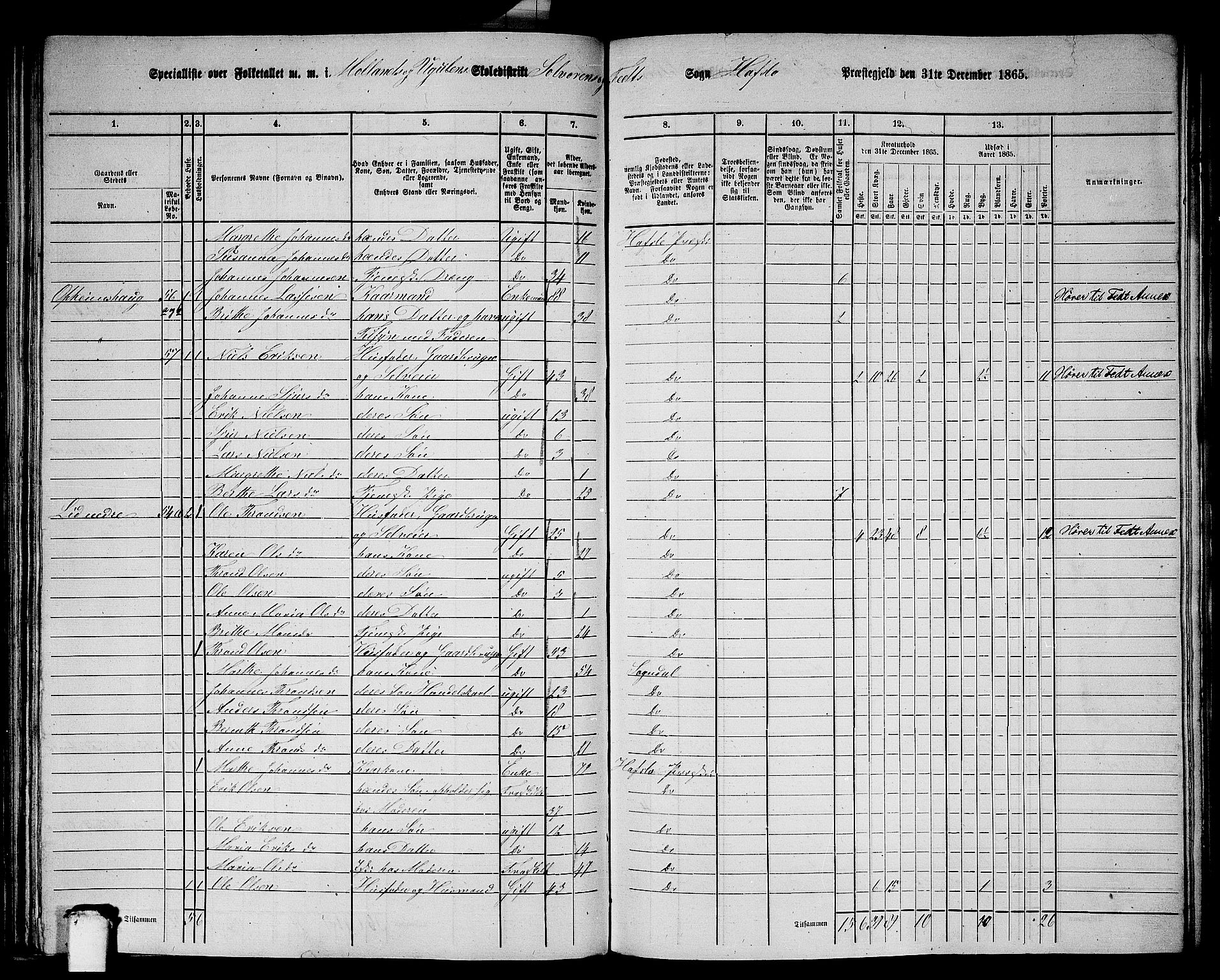 RA, 1865 census for Hafslo, 1865, p. 98