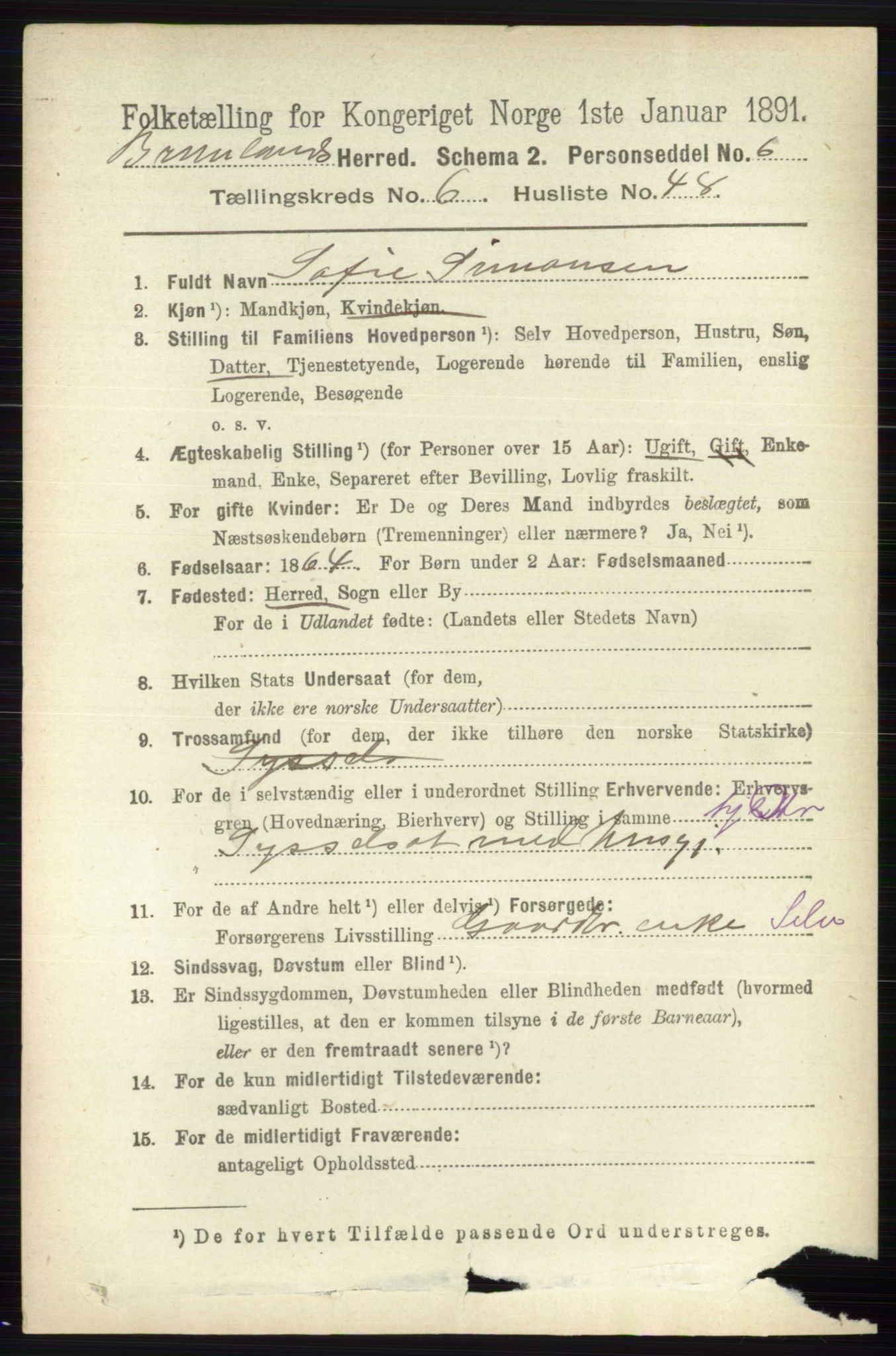 RA, 1891 census for 0726 Brunlanes, 1891, p. 2905