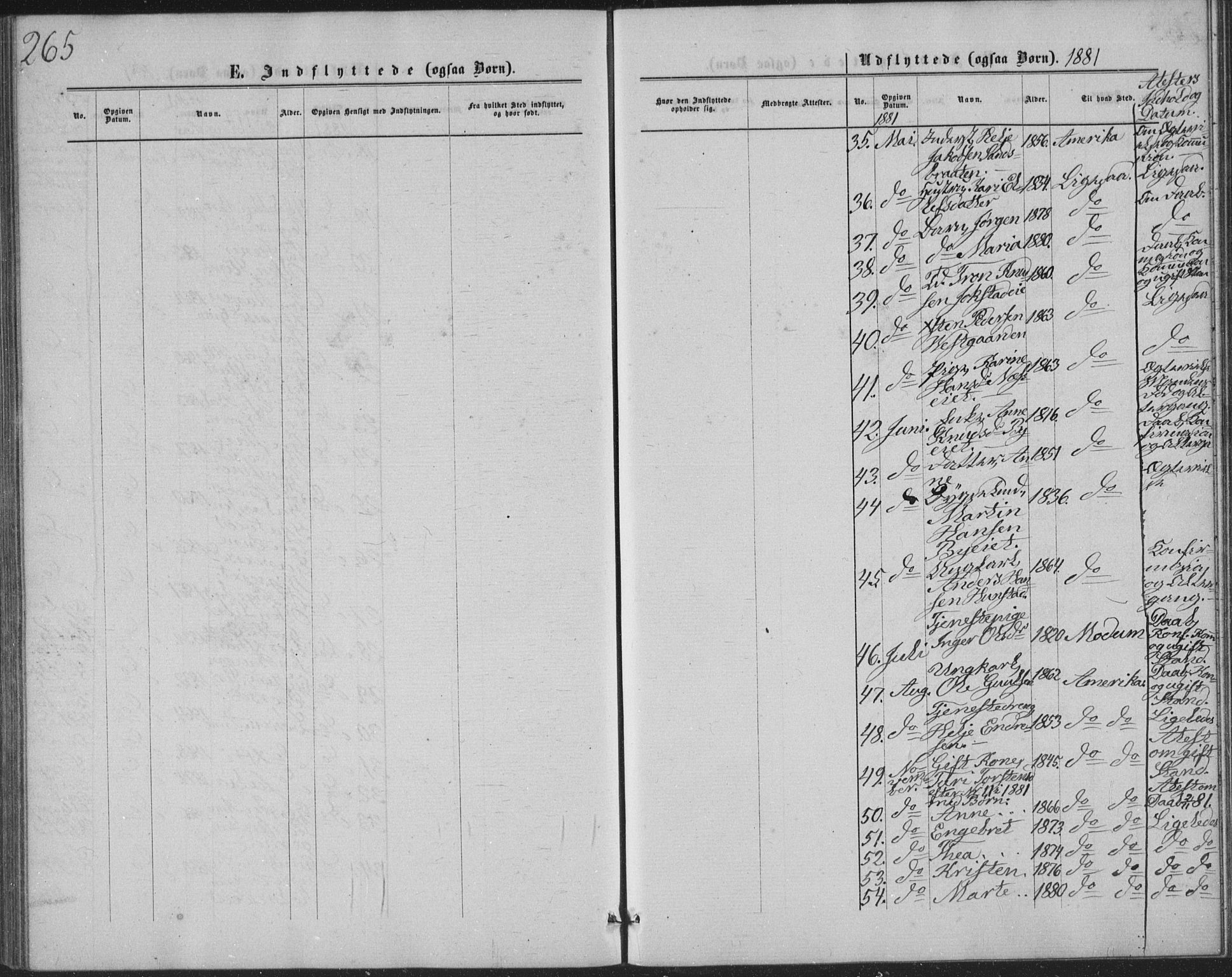 Sigdal kirkebøker, AV/SAKO-A-245/G/Ga/L0004: Parish register (copy) no. I 4, 1879-1885, p. 265