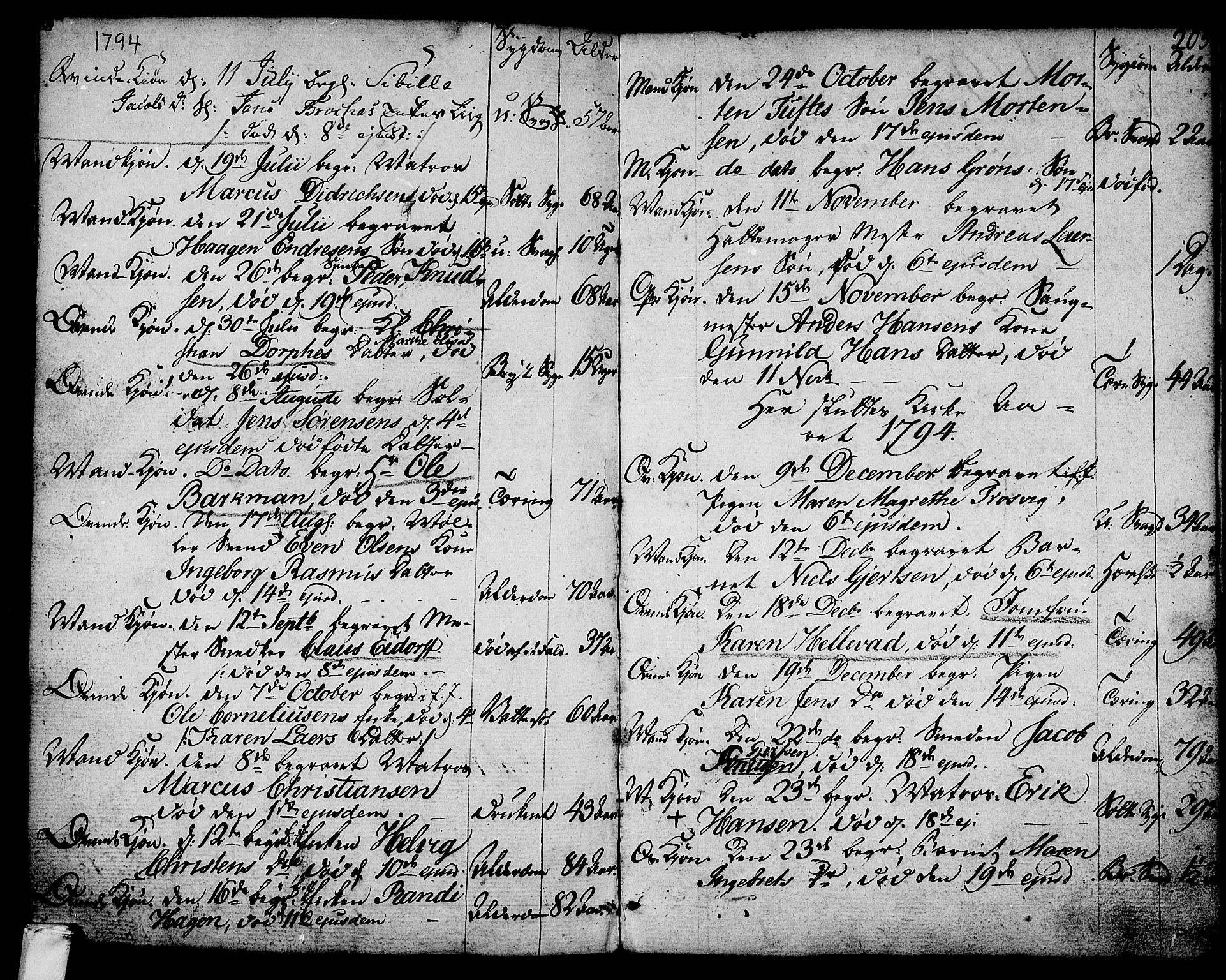 Larvik kirkebøker, SAKO/A-352/G/Ga/L0001: Parish register (copy) no. I 1, 1785-1807, p. 205