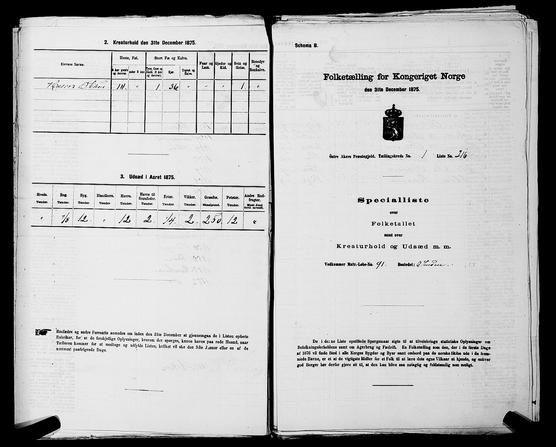 RA, 1875 census for 0218bP Østre Aker, 1875, p. 219