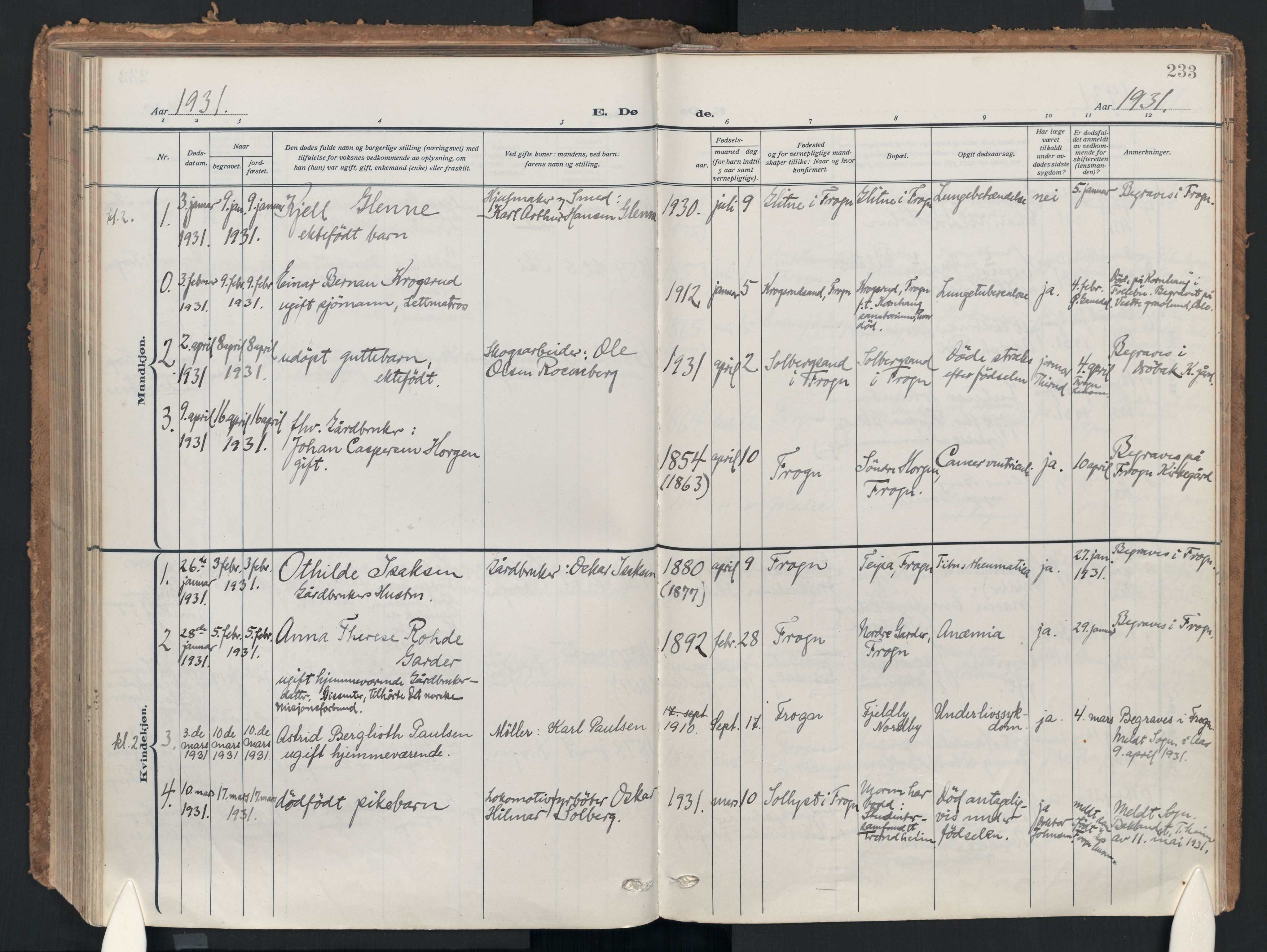 Drøbak prestekontor Kirkebøker, AV/SAO-A-10142a/F/Fc/L0004: Parish register (official) no. III 4, 1919-1935, p. 233