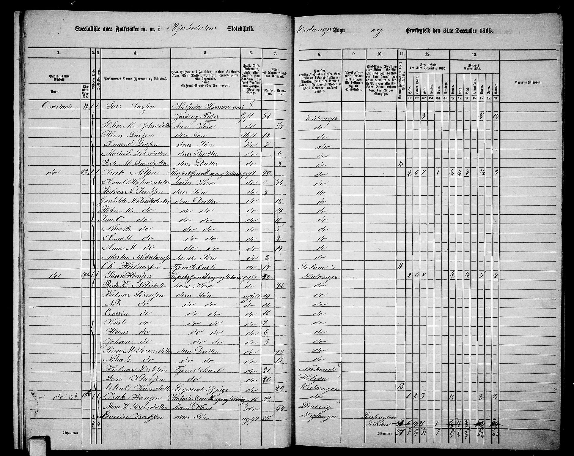 RA, 1865 census for Eidanger, 1865, p. 13