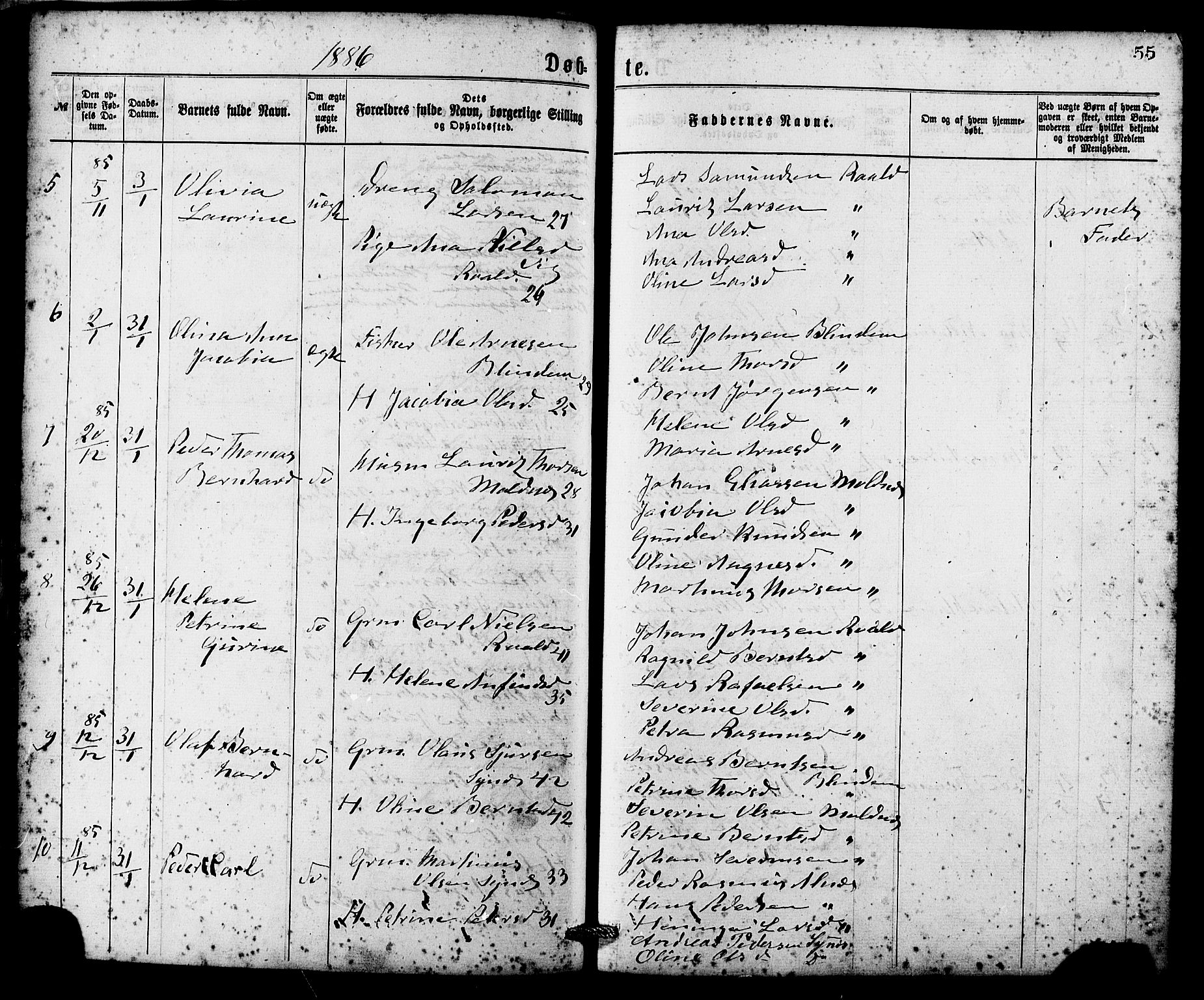 Ministerialprotokoller, klokkerbøker og fødselsregistre - Møre og Romsdal, AV/SAT-A-1454/537/L0519: Parish register (official) no. 537A03, 1876-1889, p. 55