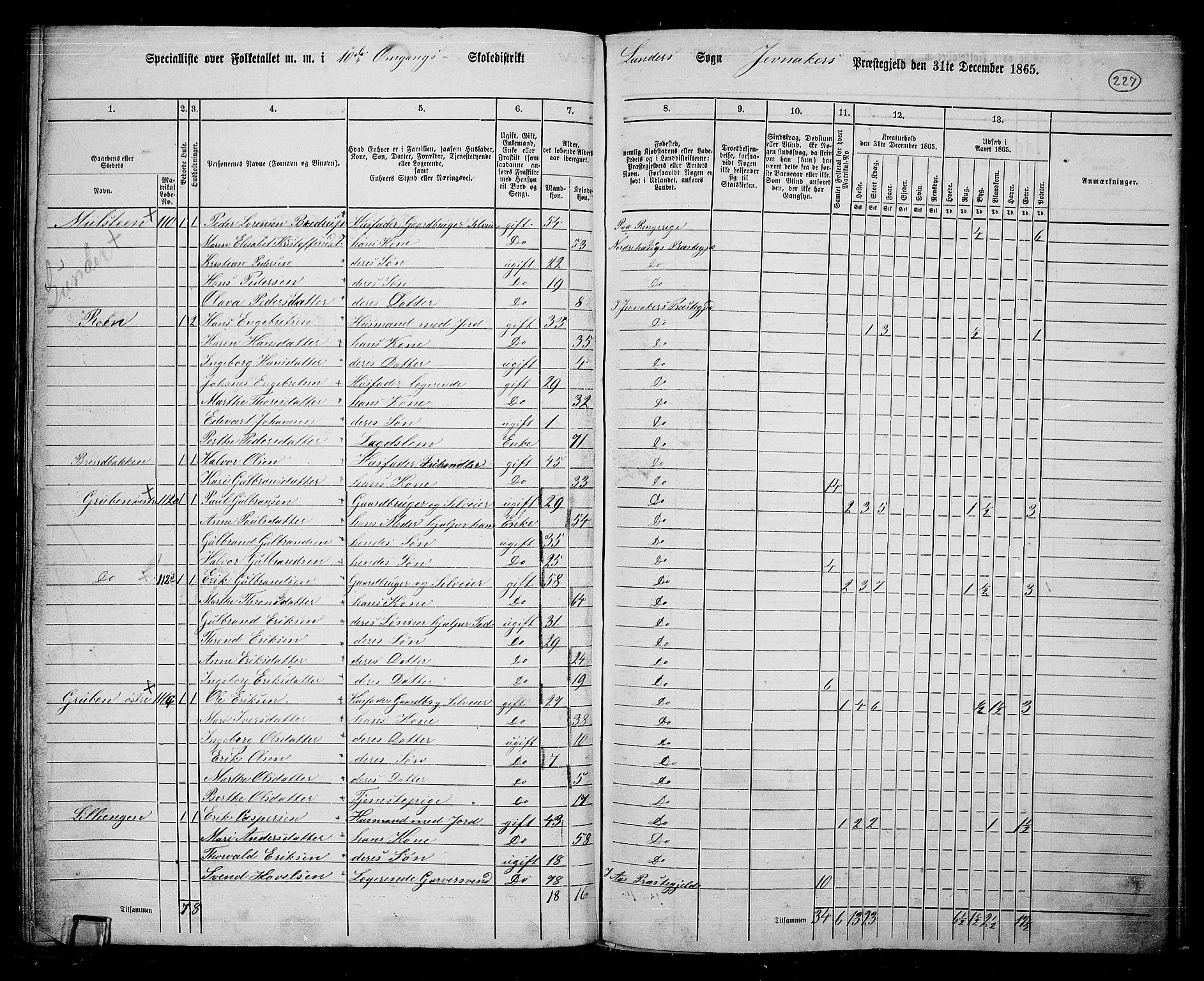 RA, 1865 census for Jevnaker, 1865, p. 211