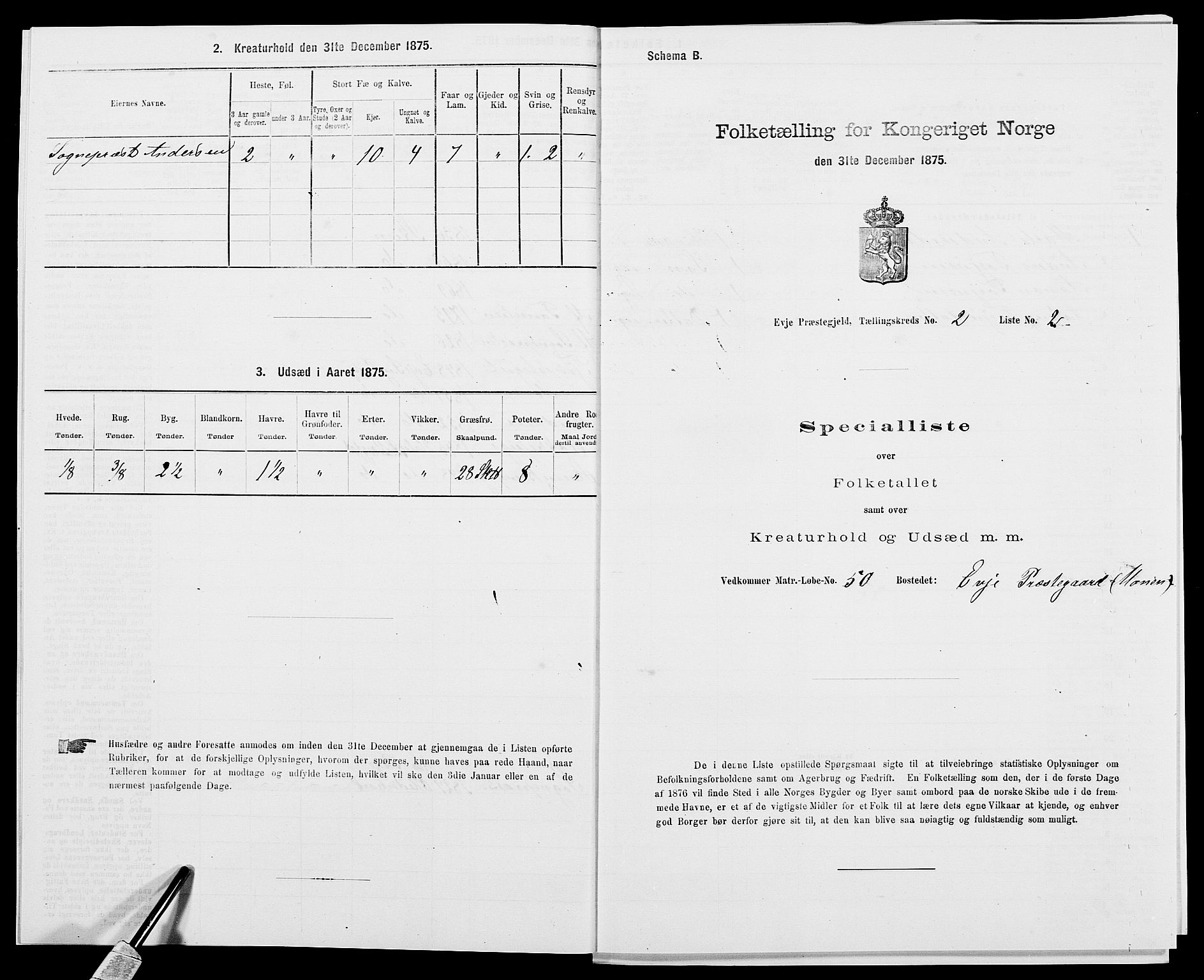 SAK, 1875 census for 0934P Evje, 1875, p. 113