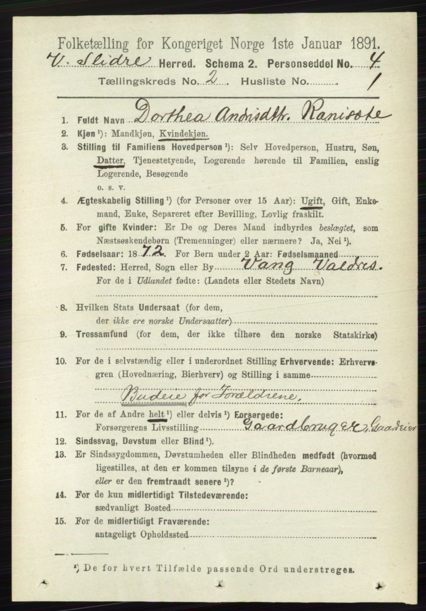 RA, 1891 census for 0543 Vestre Slidre, 1891, p. 507