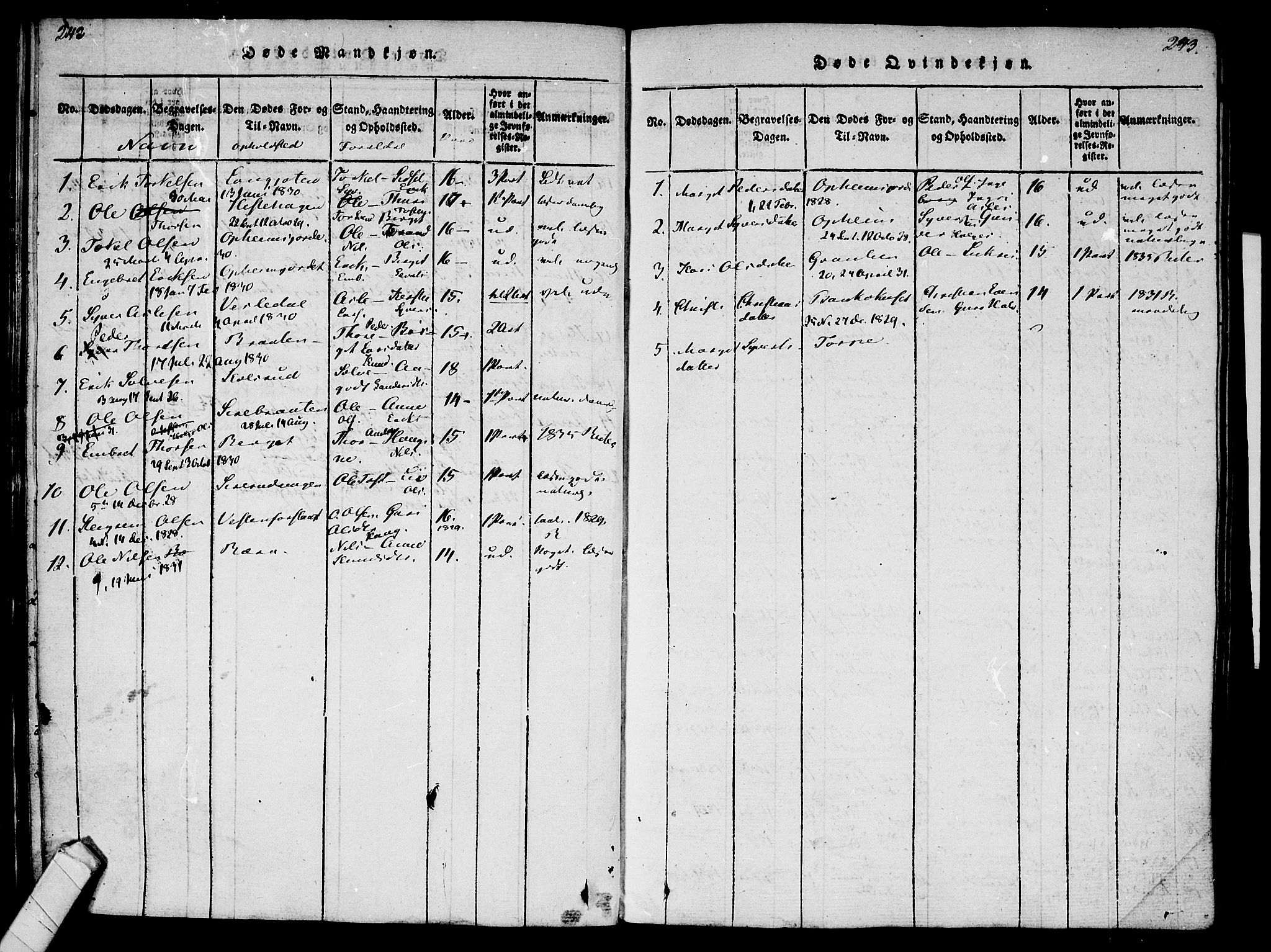 Ål kirkebøker, AV/SAKO-A-249/F/Fa/L0004: Parish register (official) no. I 4, 1815-1825, p. 242-243