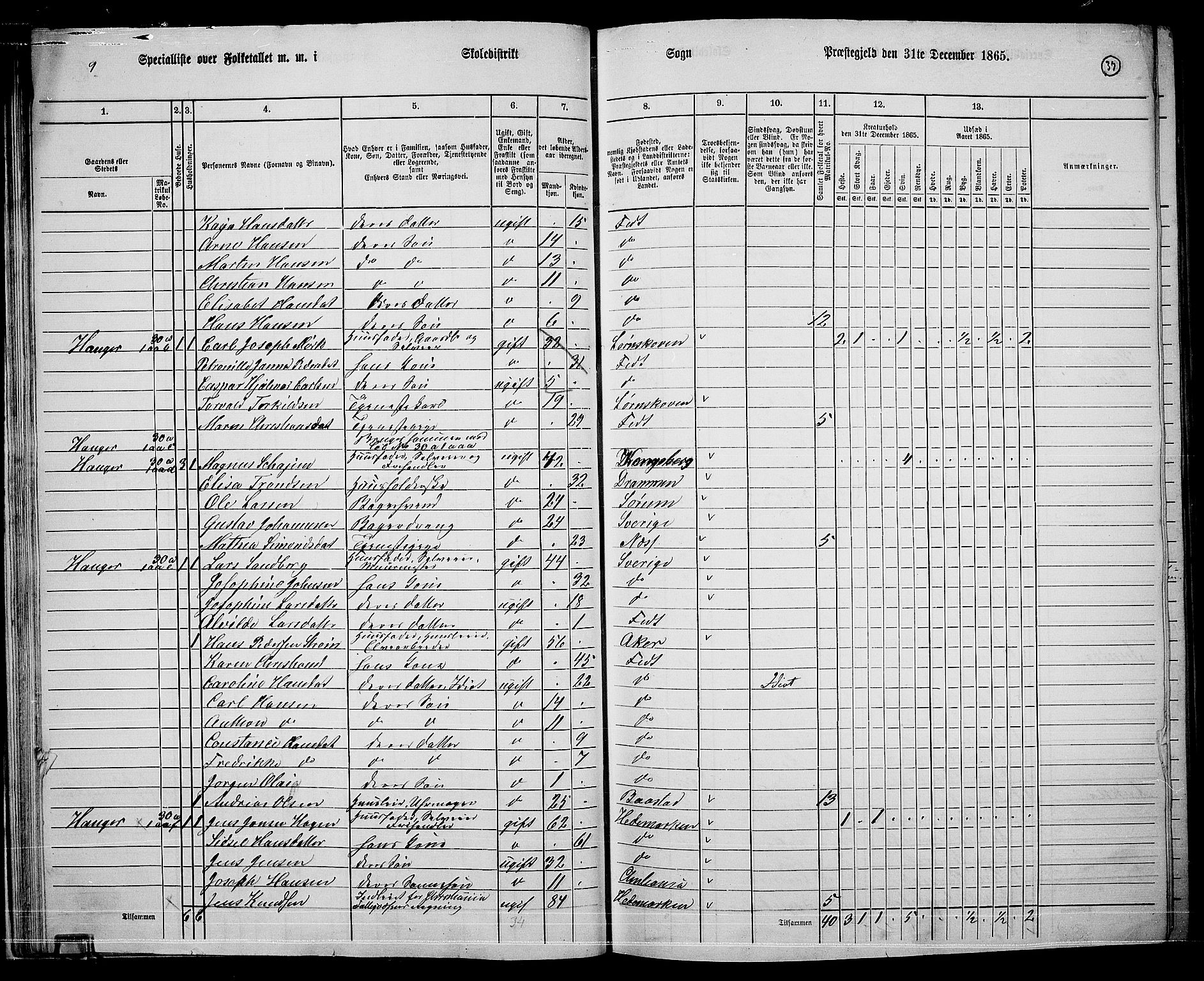 RA, 1865 census for Fet, 1865, p. 34