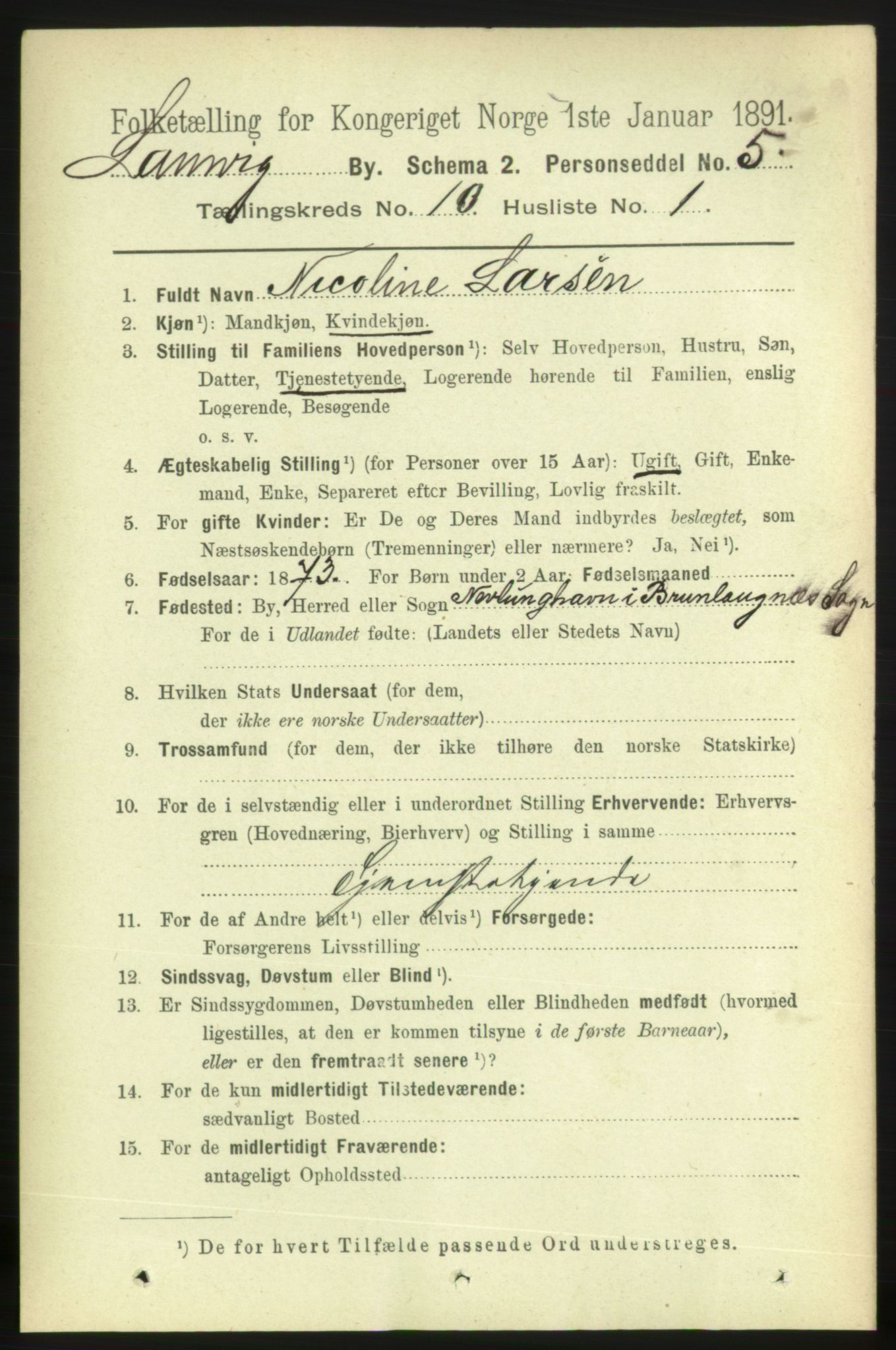 RA, 1891 census for 0707 Larvik, 1891, p. 9074