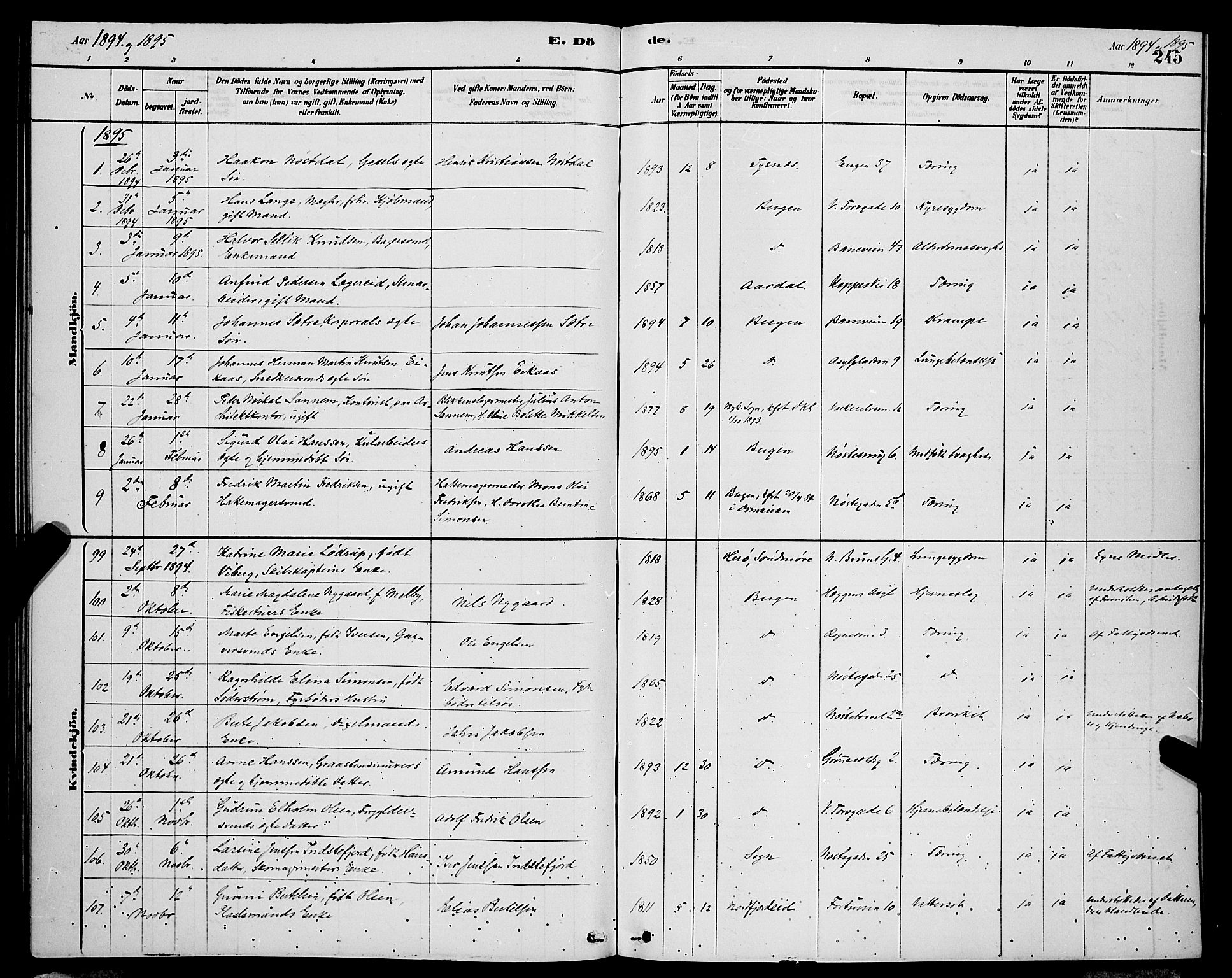 Domkirken sokneprestembete, SAB/A-74801/H/Hab/L0041: Parish register (copy) no. E 5, 1878-1900, p. 245