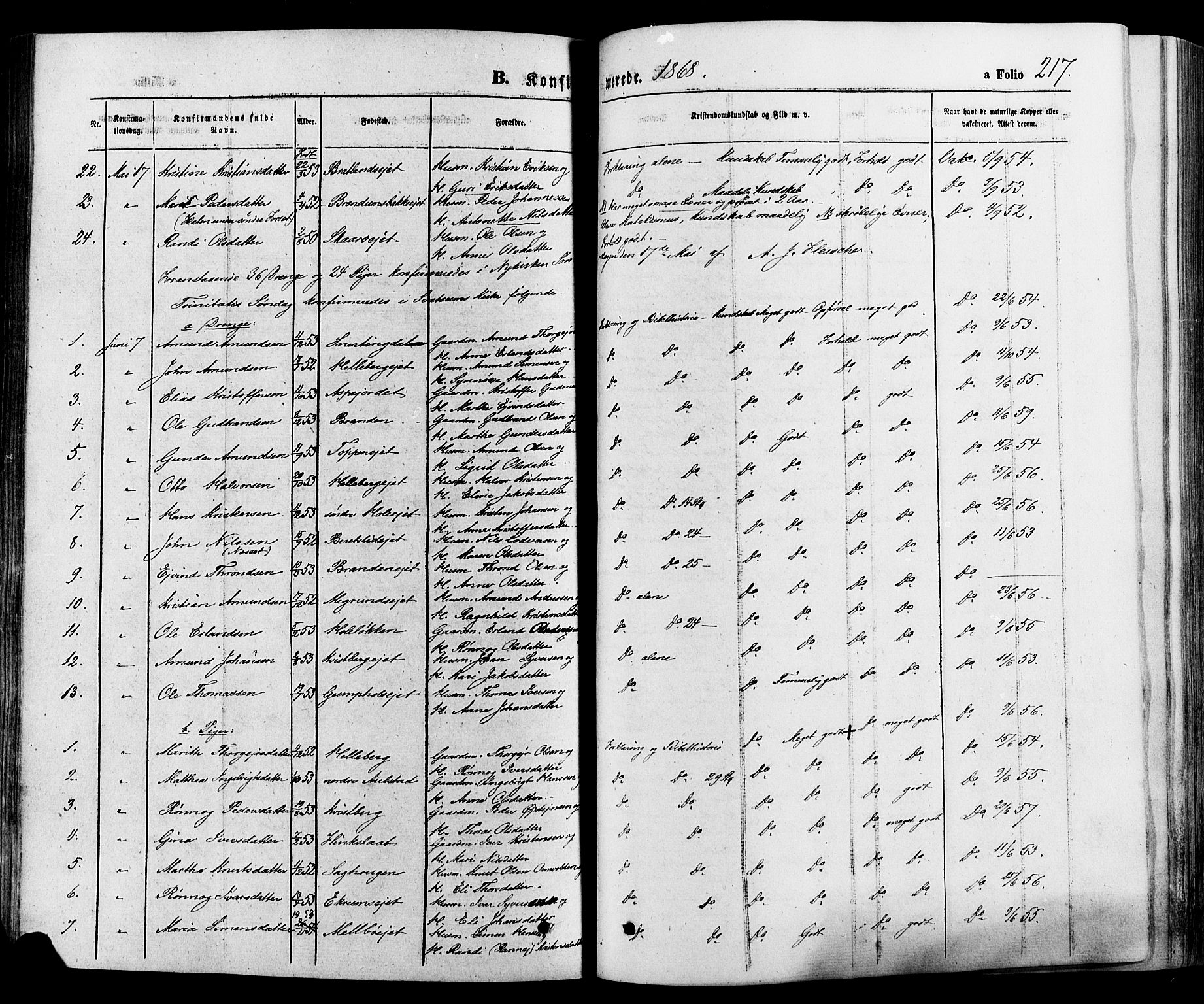 Gausdal prestekontor, SAH/PREST-090/H/Ha/Haa/L0010: Parish register (official) no. 10, 1867-1886, p. 217
