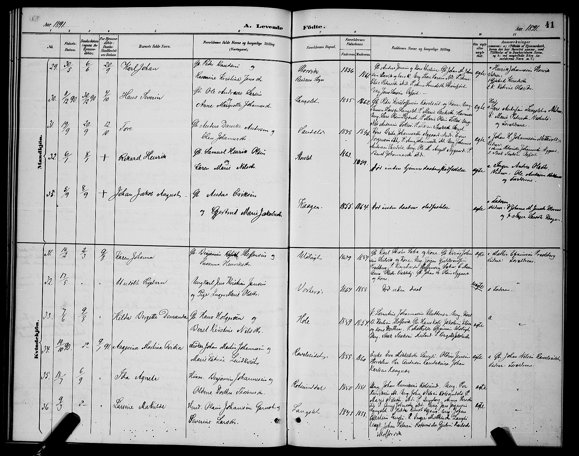 Skjervøy sokneprestkontor, AV/SATØ-S-1300/H/Ha/Hab/L0007klokker: Parish register (copy) no. 7, 1889-1899, p. 41